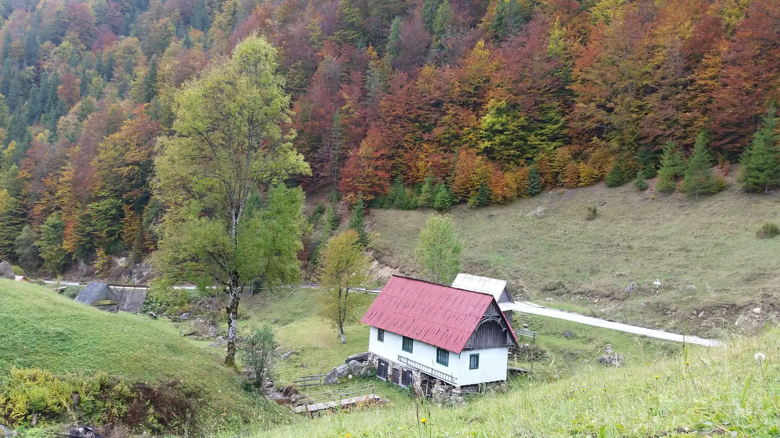 sat Albac - Vf. Runcu - Valea Ordâncuşei (la Moara lui Ivan)