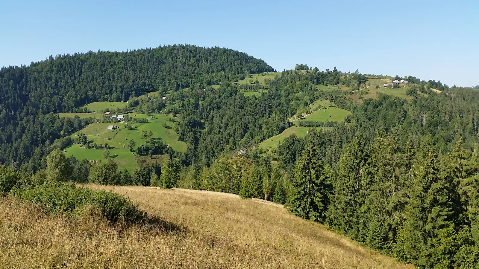 sat Albac - sat Roşeşti - sat Albac