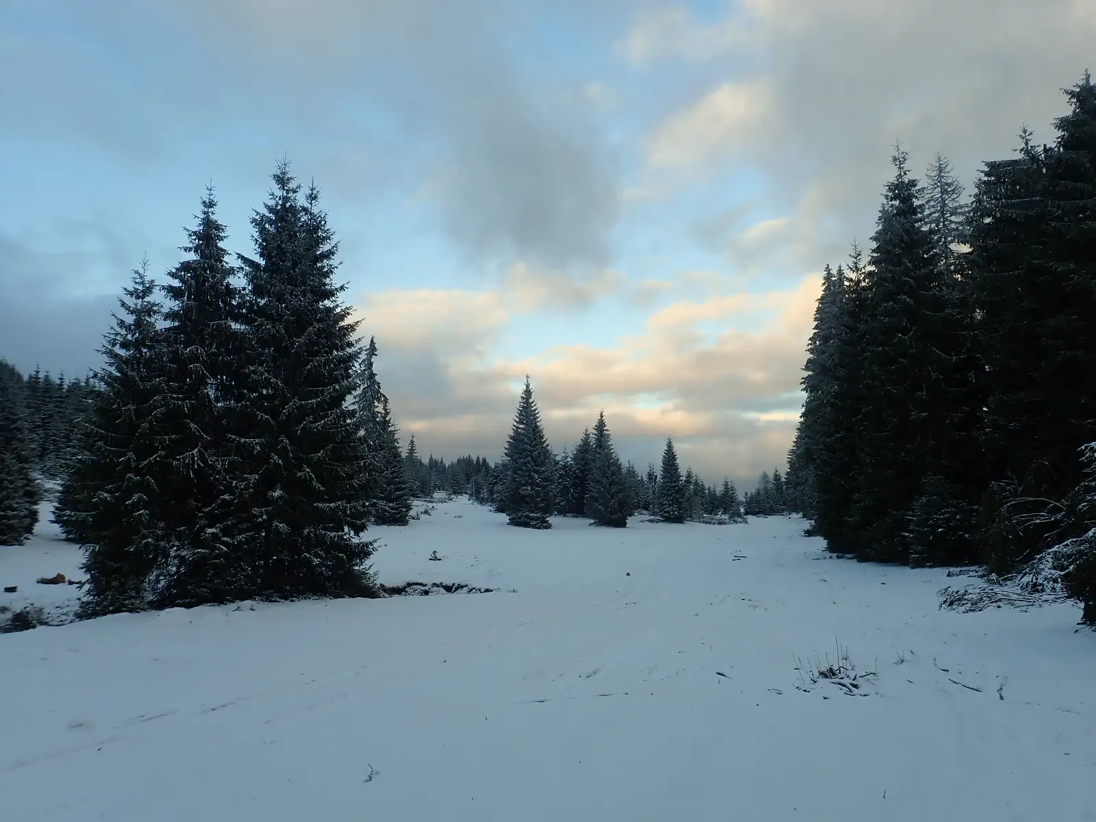 Şaua Ursoaia - sub Vf. Clujului - Poiana Călineasa