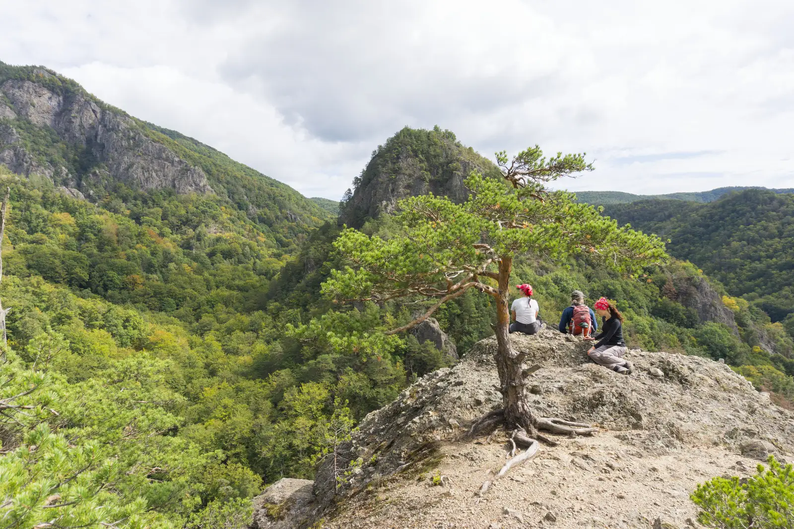 sat Căciulata (C.N.I.P.T.) - Mănăstirea Stânişoara - Cabana Cozia