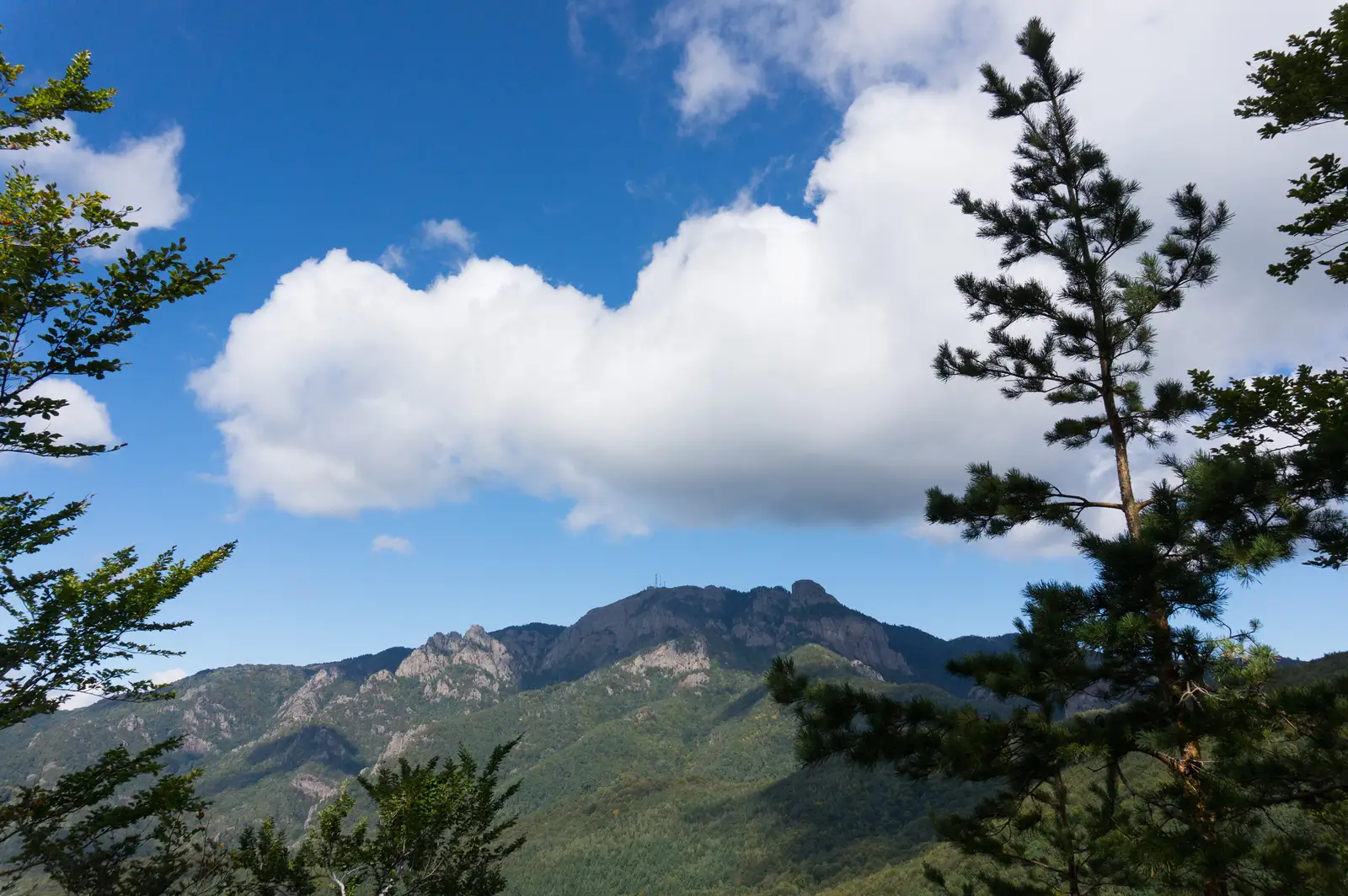 gara CFR Călimăneşti - Plaiul Sitarului - Cabana Cozia