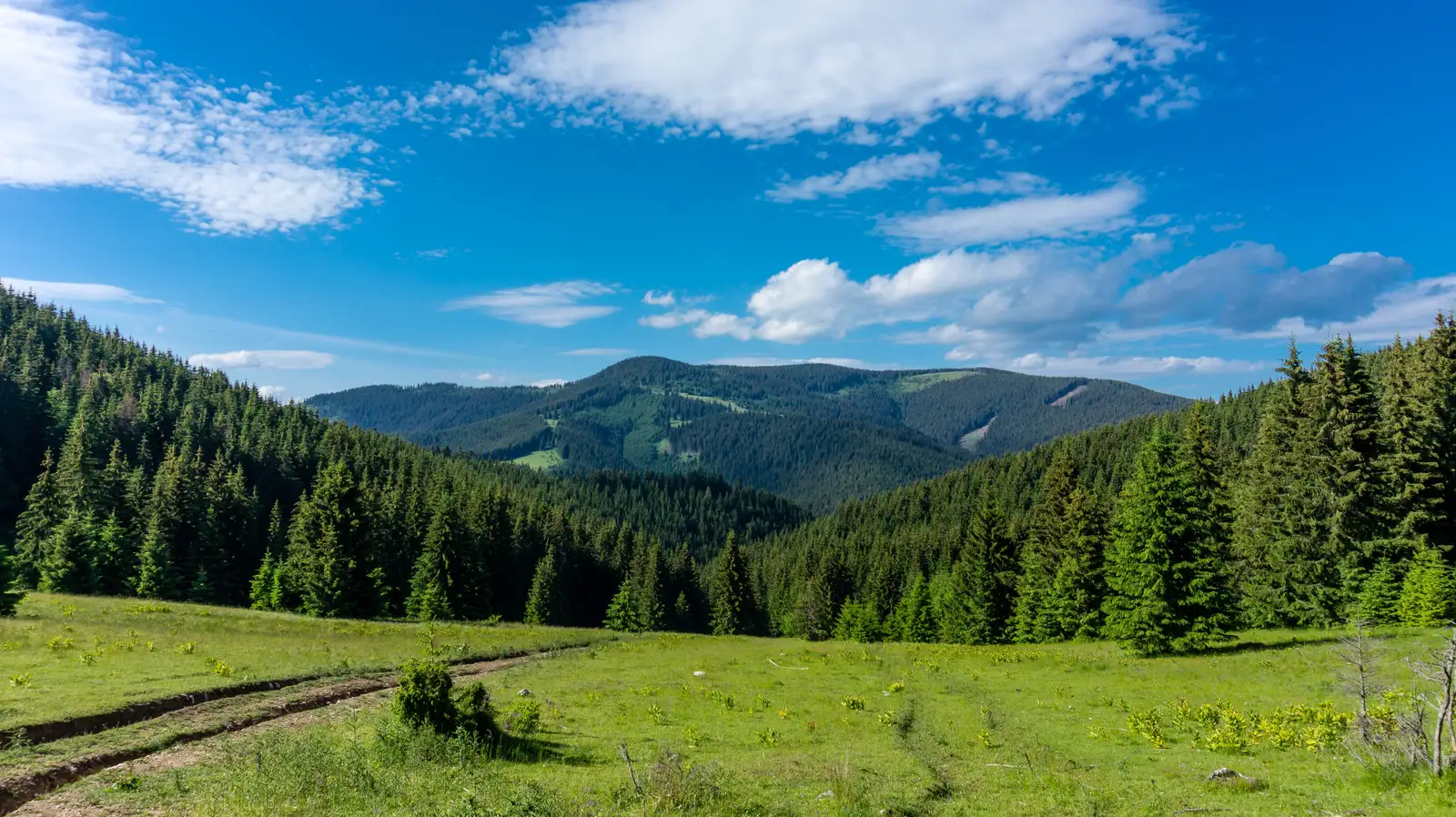 sat Izvoru Mureşului - Peştera Şugău