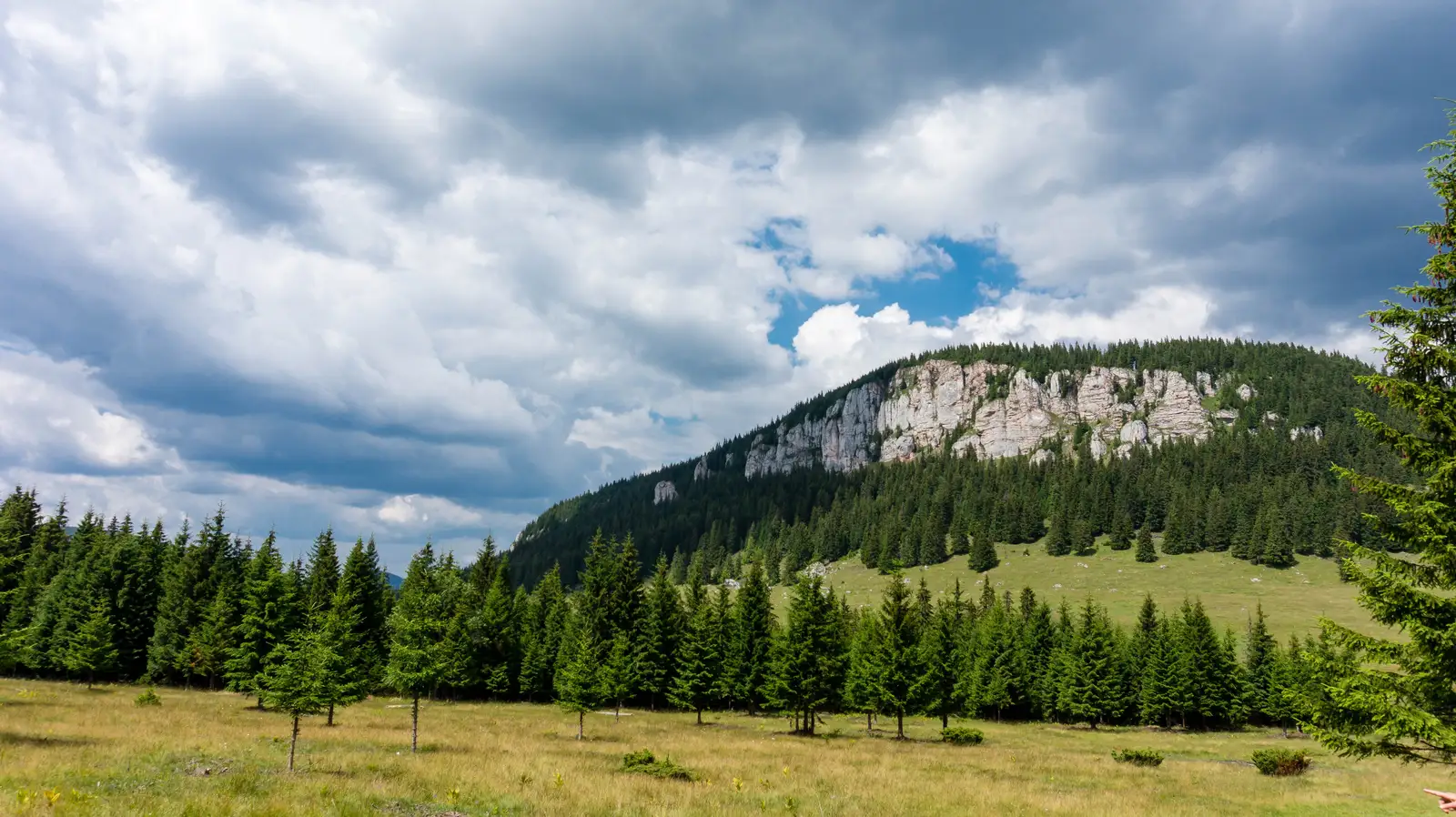 oraş Gheorgheni - Valea Fierul - La Tunzărie
