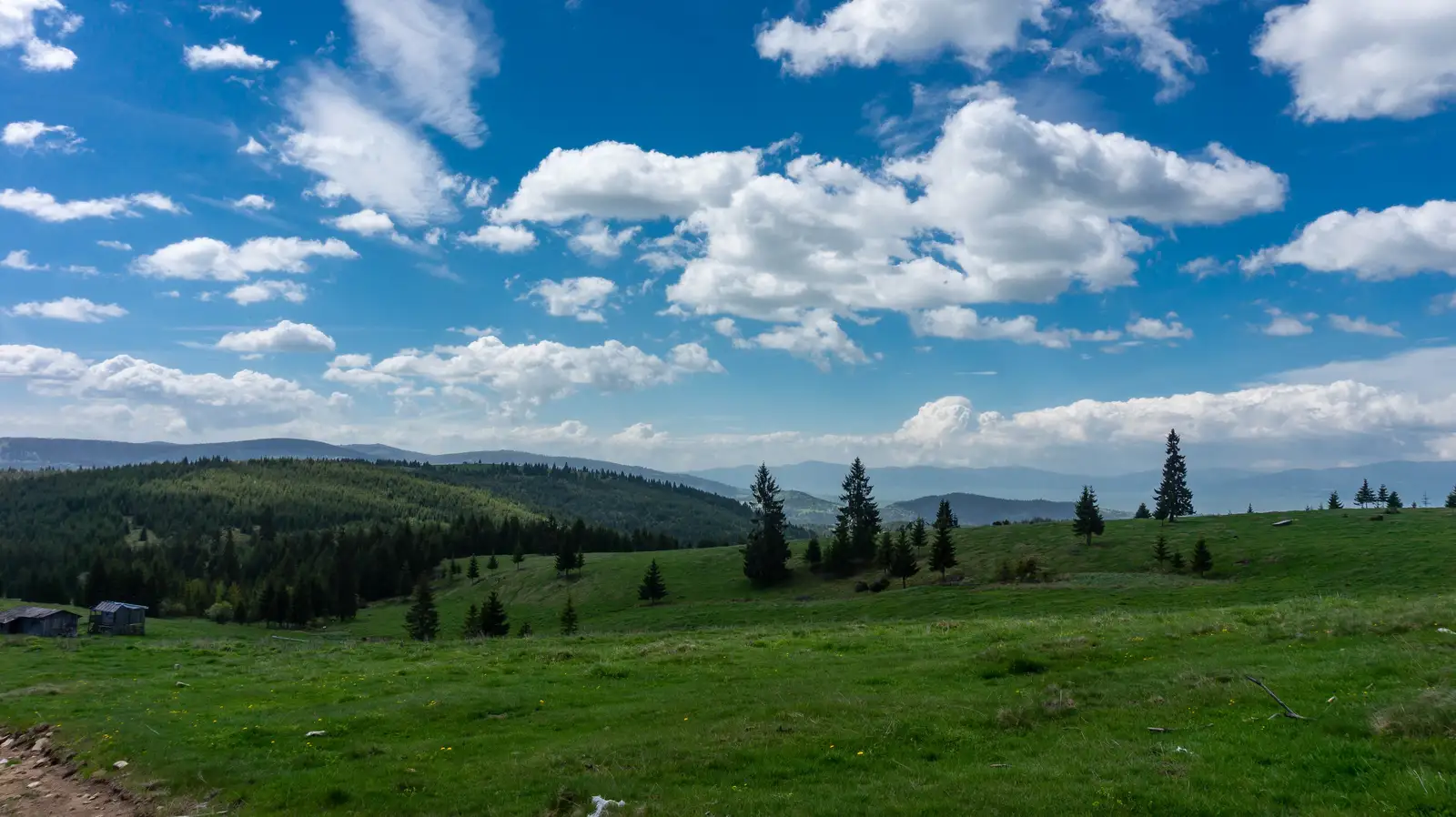 Pasul Pângăraţi - Pasul Chiozrez - Pasul Creangă - Vf. Piciorul Gotca