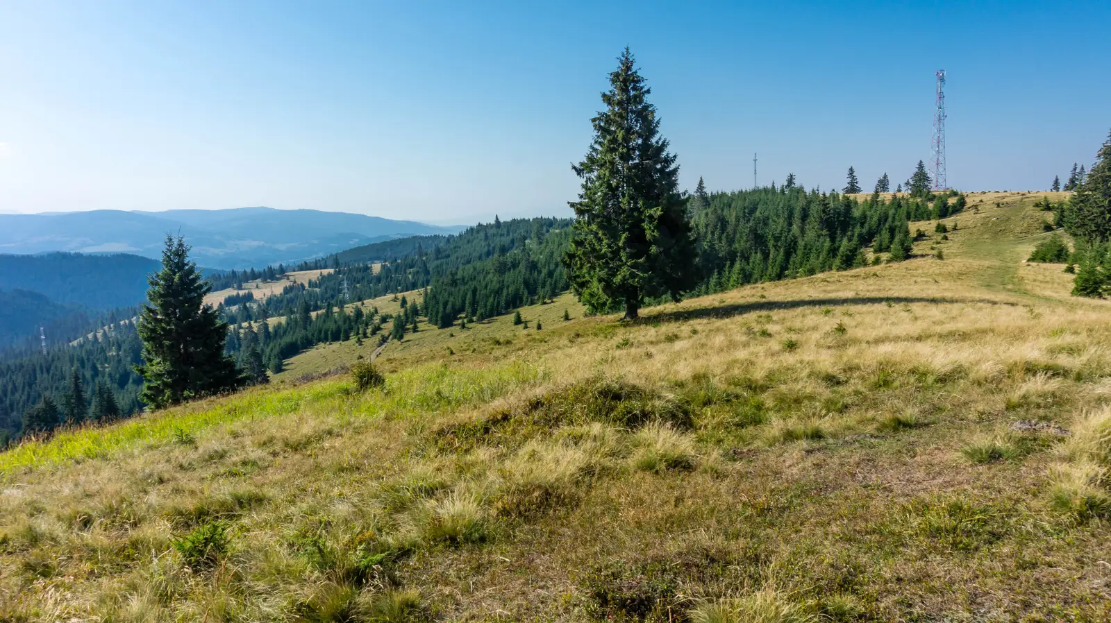 Pasul Pângăraţi - Pasul Chiozrez - Pasul Creangă - Pasul Răchiţiş