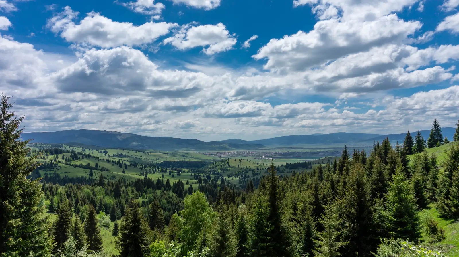 sat Lăzarea - sub Vf. Prişca - oraş Gheorgheni