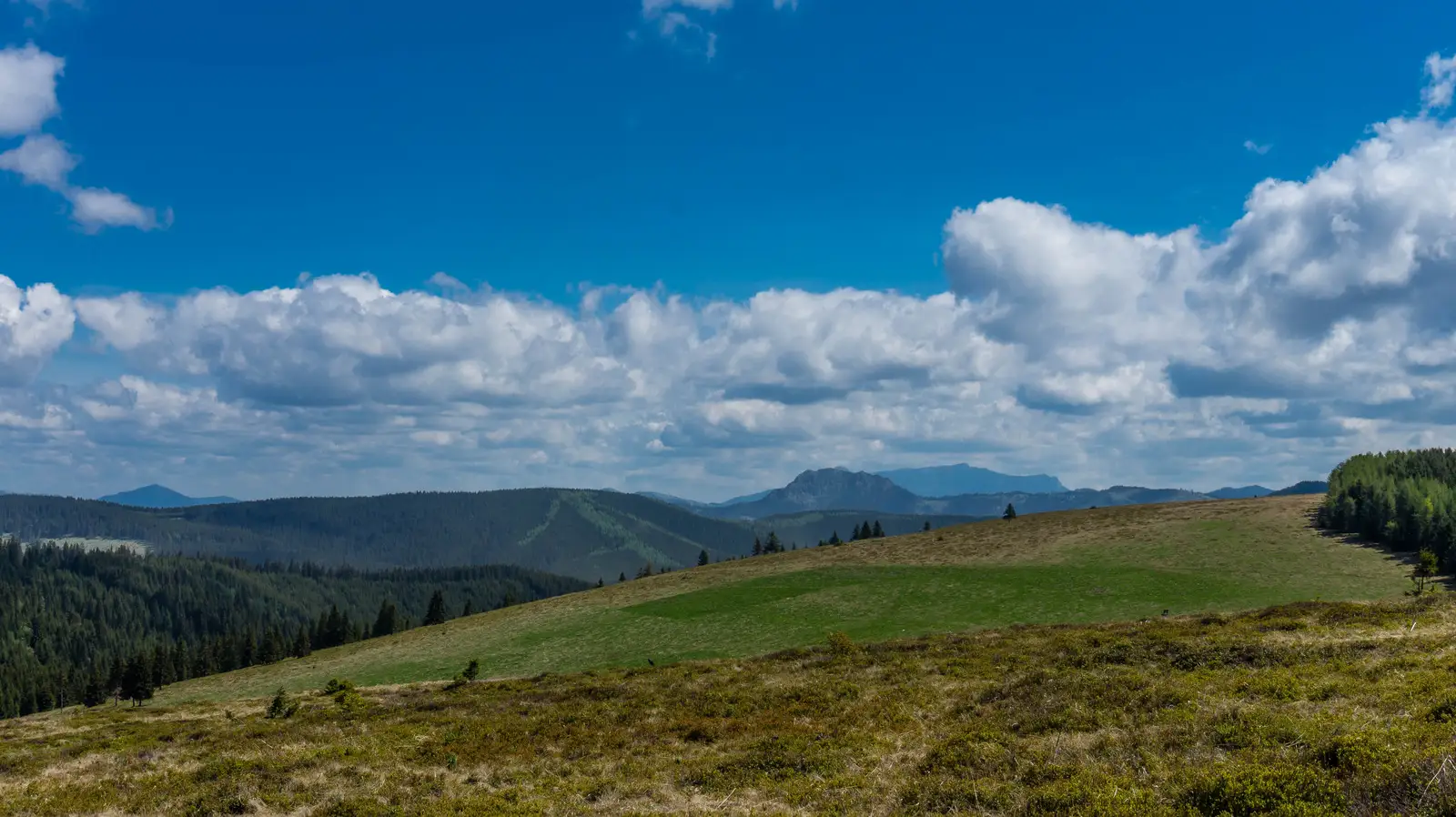 Rez-nyaka - Şaua Tătar - Vf. Prişca