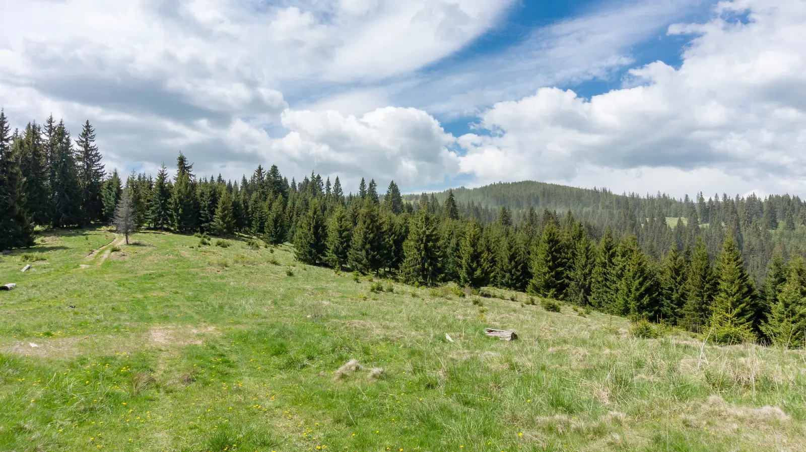 Rez-nyaka - Şaua Licheneu - Cabana Vitting