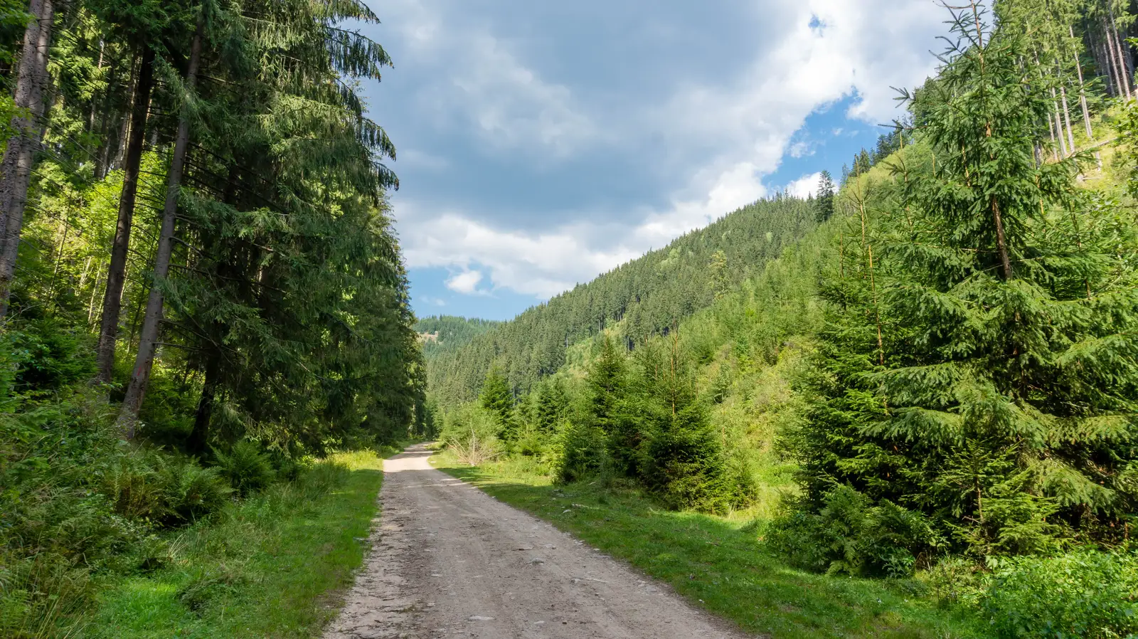 sat Jolotca - Pasul Chiozrez