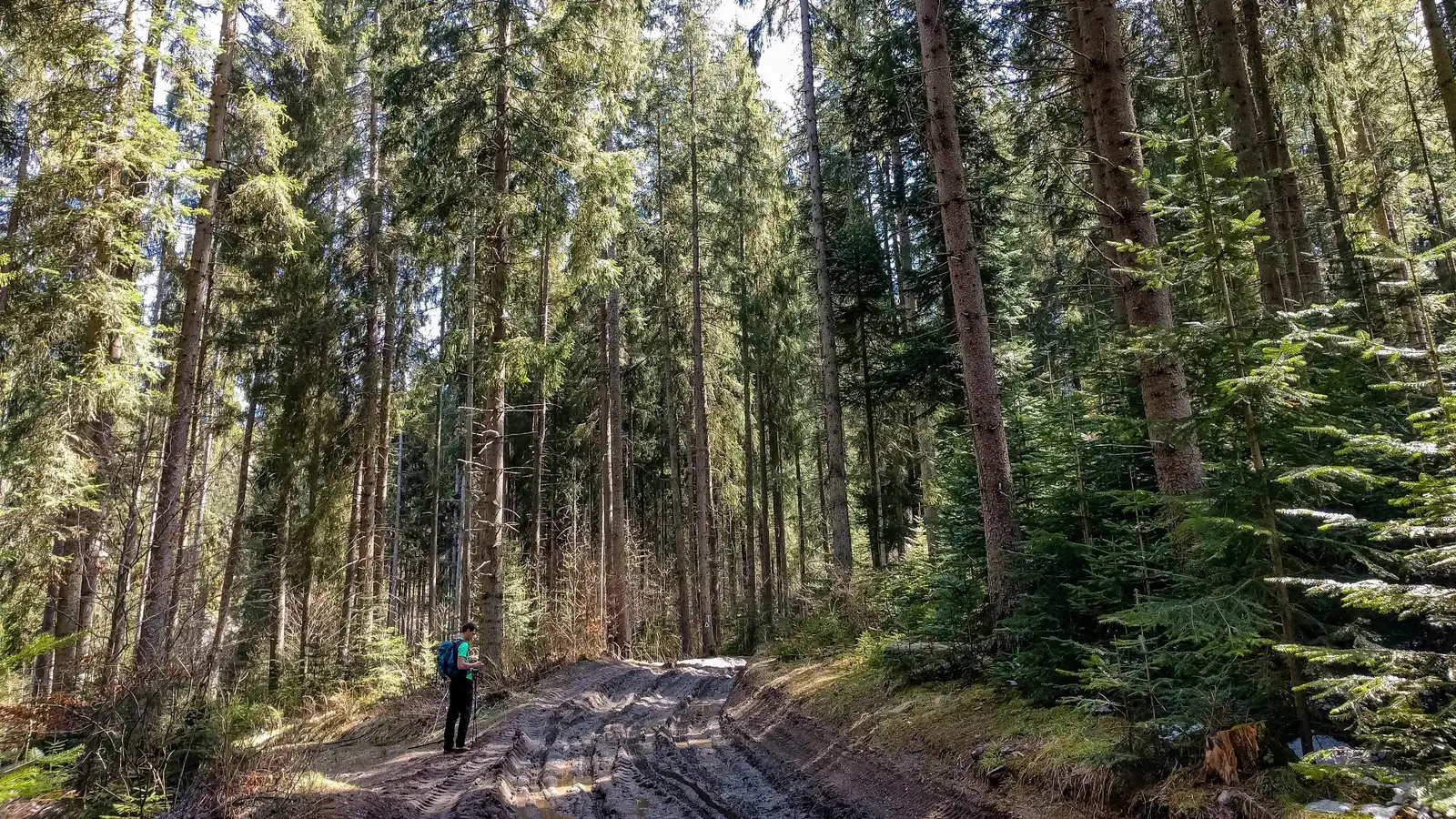 oraş Borsec - Pasul Chiozrez