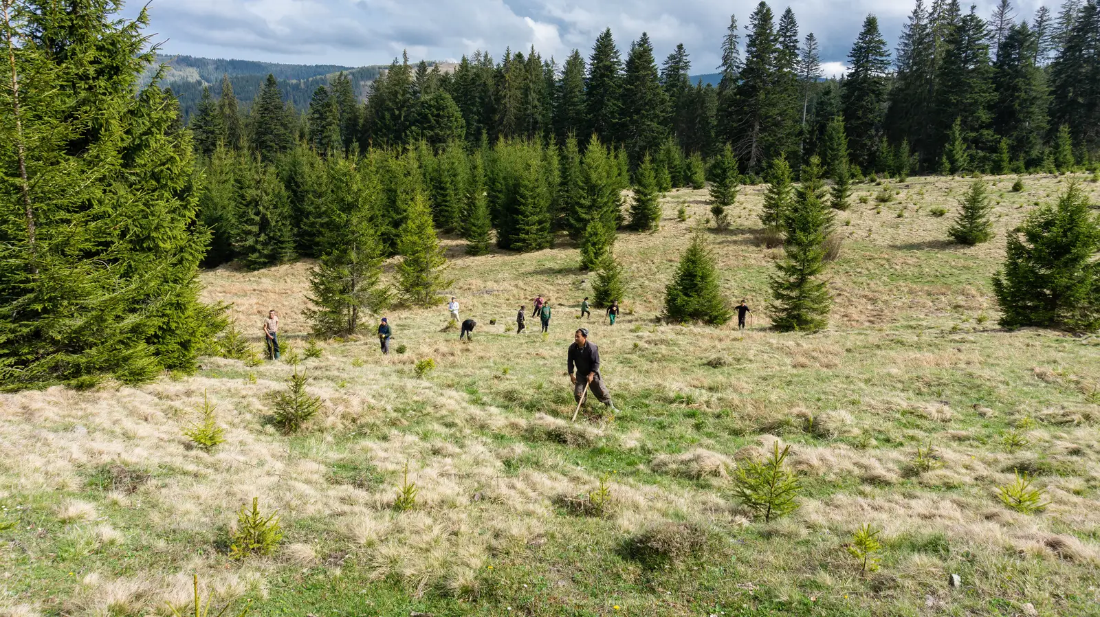 oraş Borsec (DN 15) - Pasul Creangă