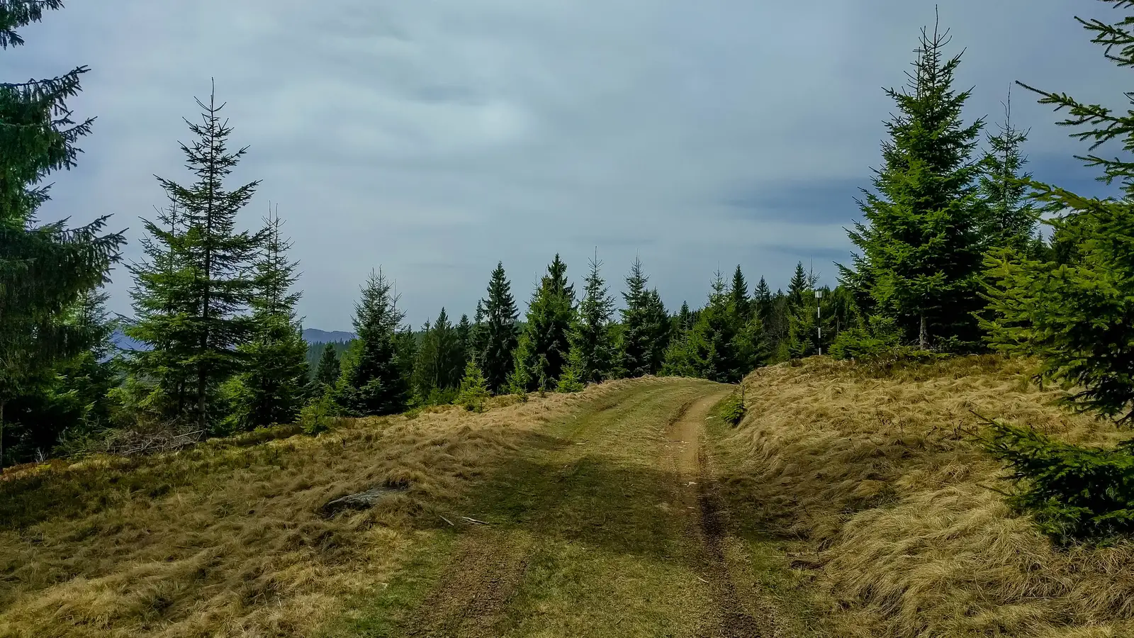 Valea Nadăşa - Vf. Ţifra - oraş Borsec