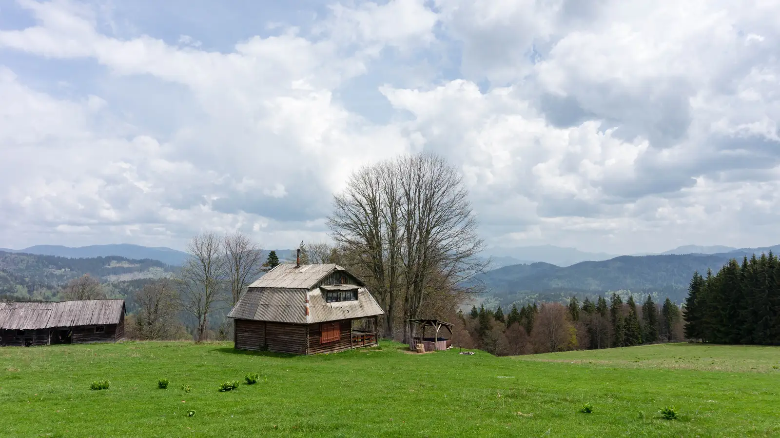 oraş Borsec - Refugiul Făget - Vf. Făgeţel - oraş Borsec