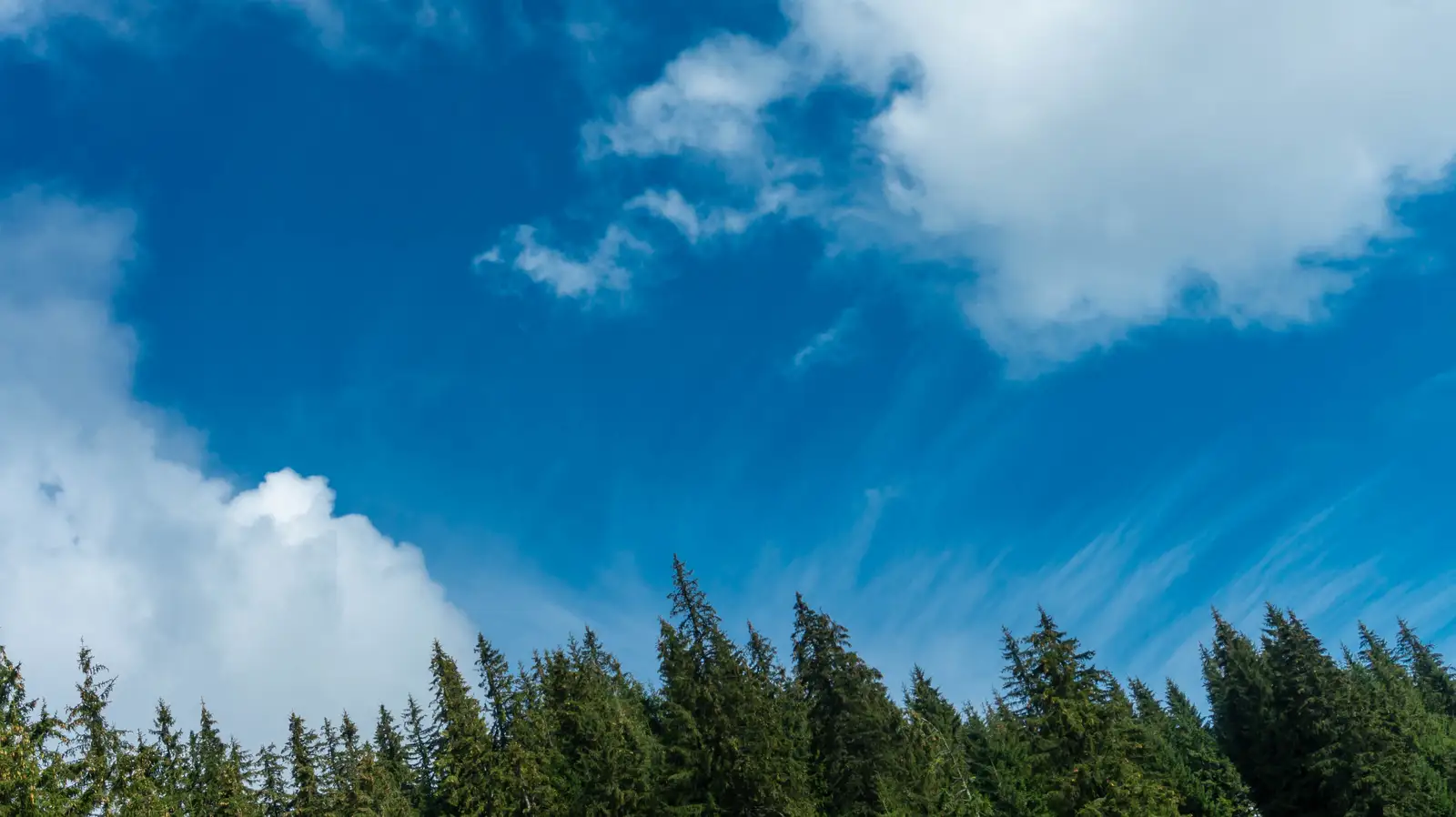 oraş Borsec - strada Cimiturului - oraş Borsec