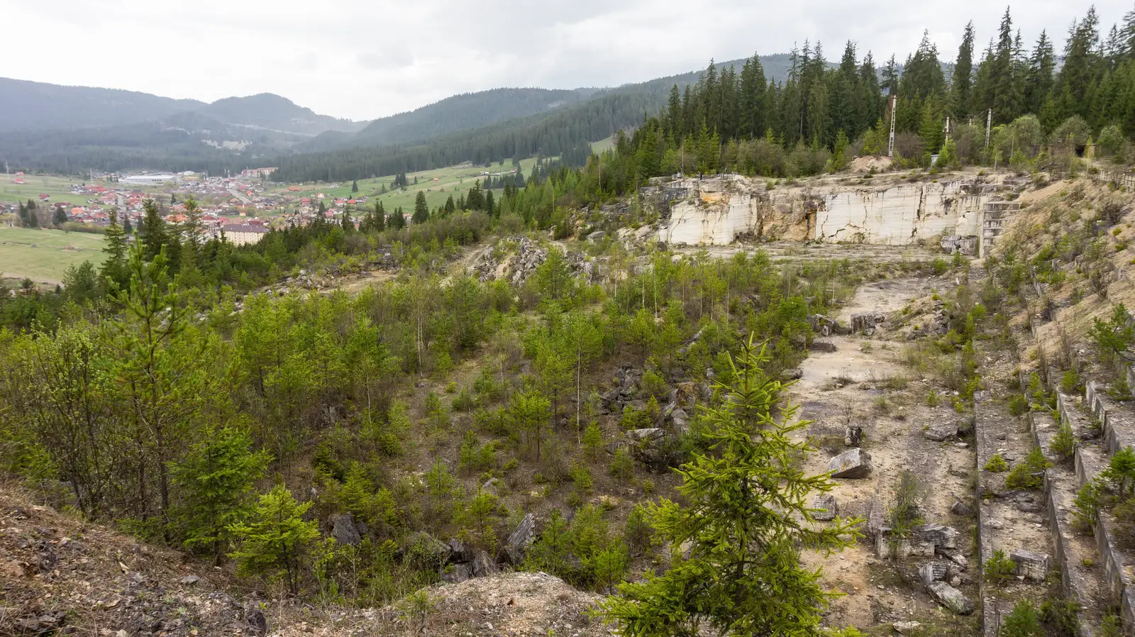 intersecţie traseul CR - Grota Urşilor - Punct de belvedere