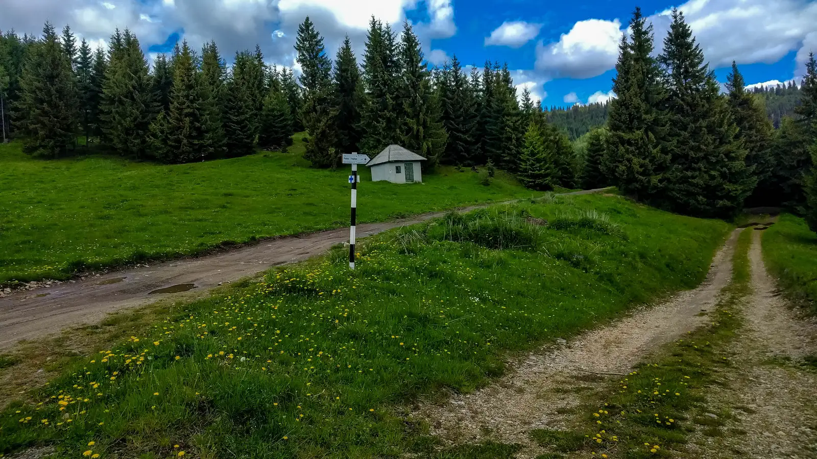 cătun Putna Mare - Poiana Licheneu