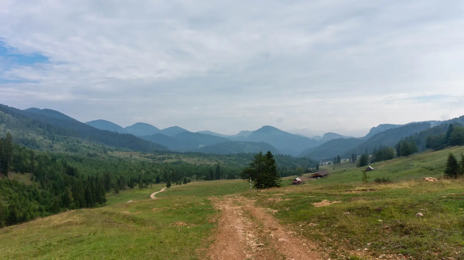 Lacul Roşu - Valea Oii - sub Poiana Albă