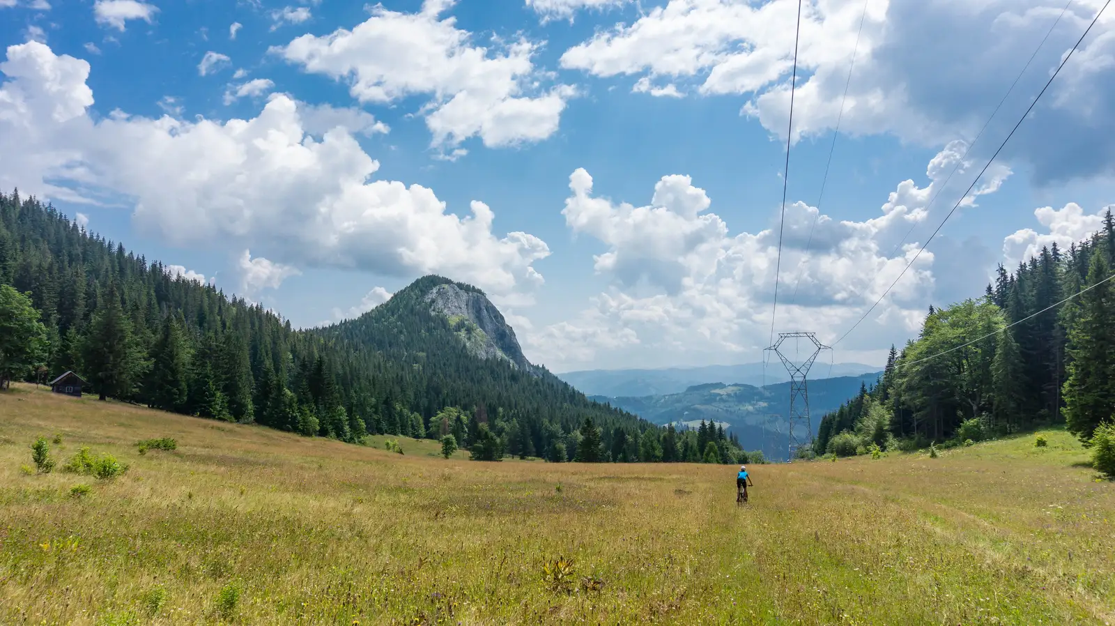 Valea Oii - Culmea lui Paleu - Lacu Roşu