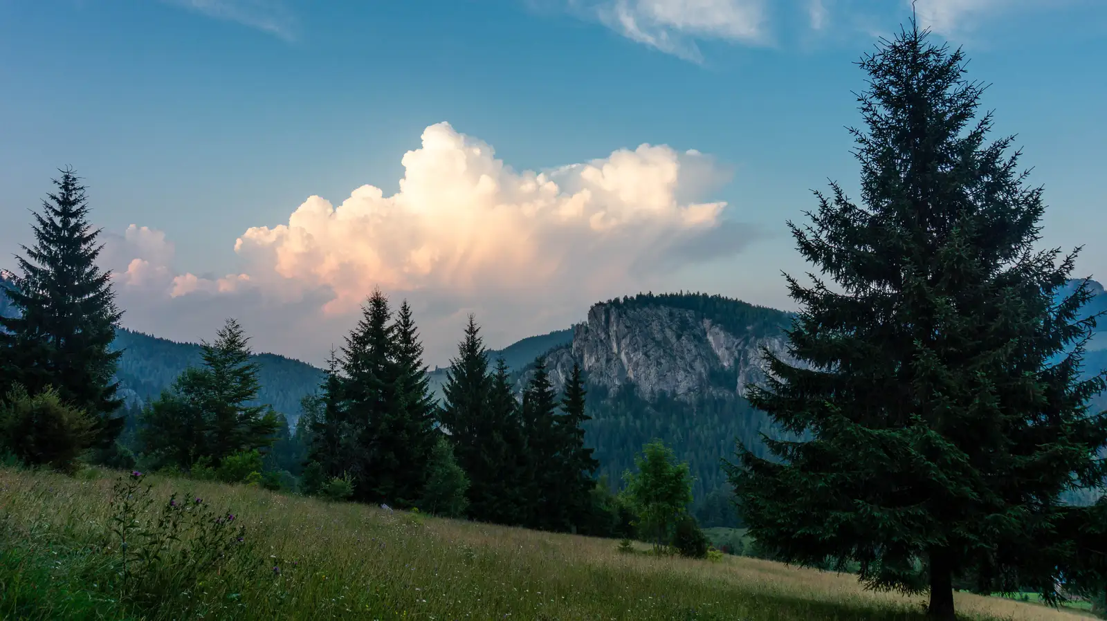 Lacu Roşu - Şaua Ţifrea - Cheile Bicazului