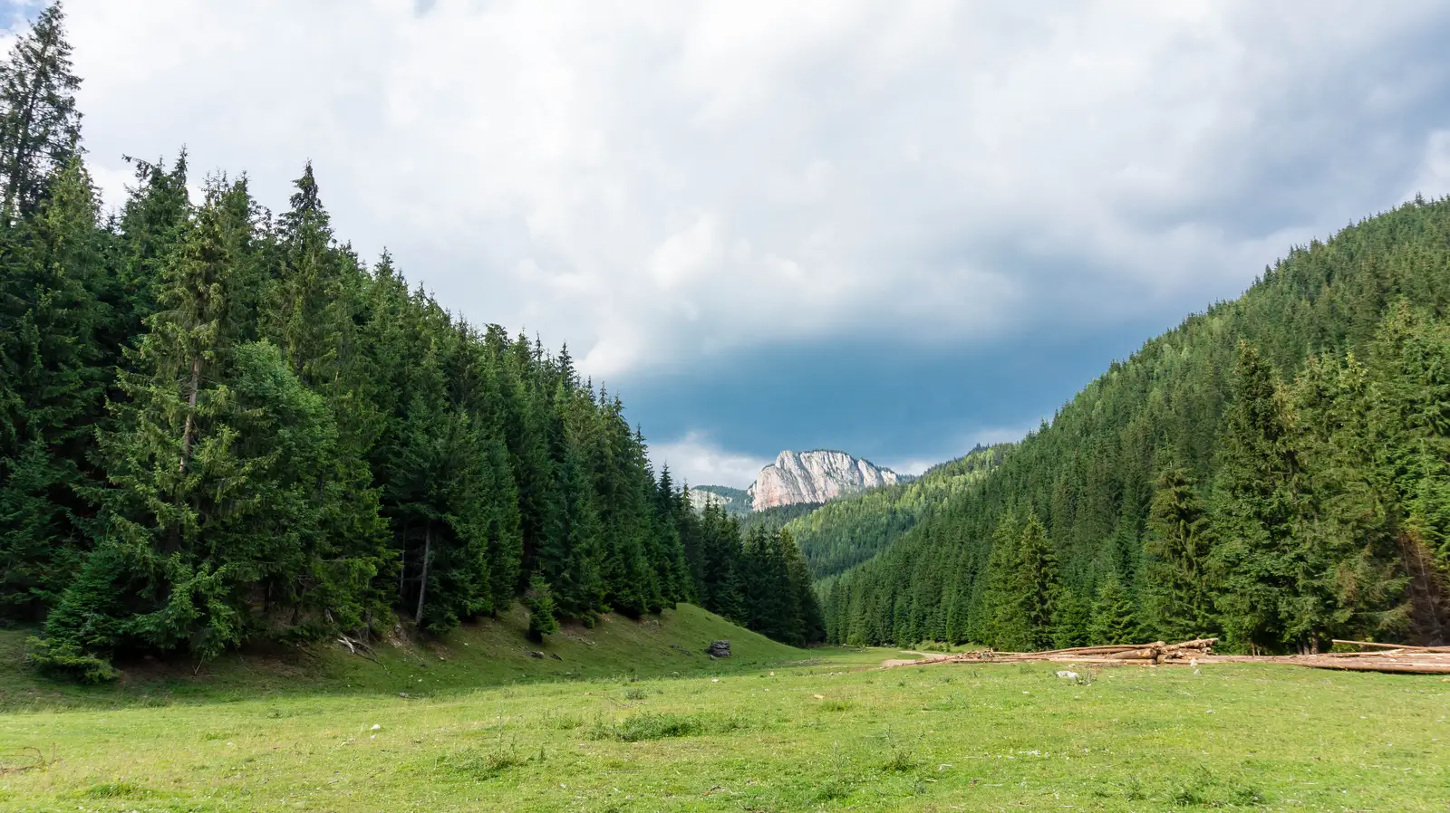 oraş Bălan - Valea Sep - Cabana Piatra Singuratică