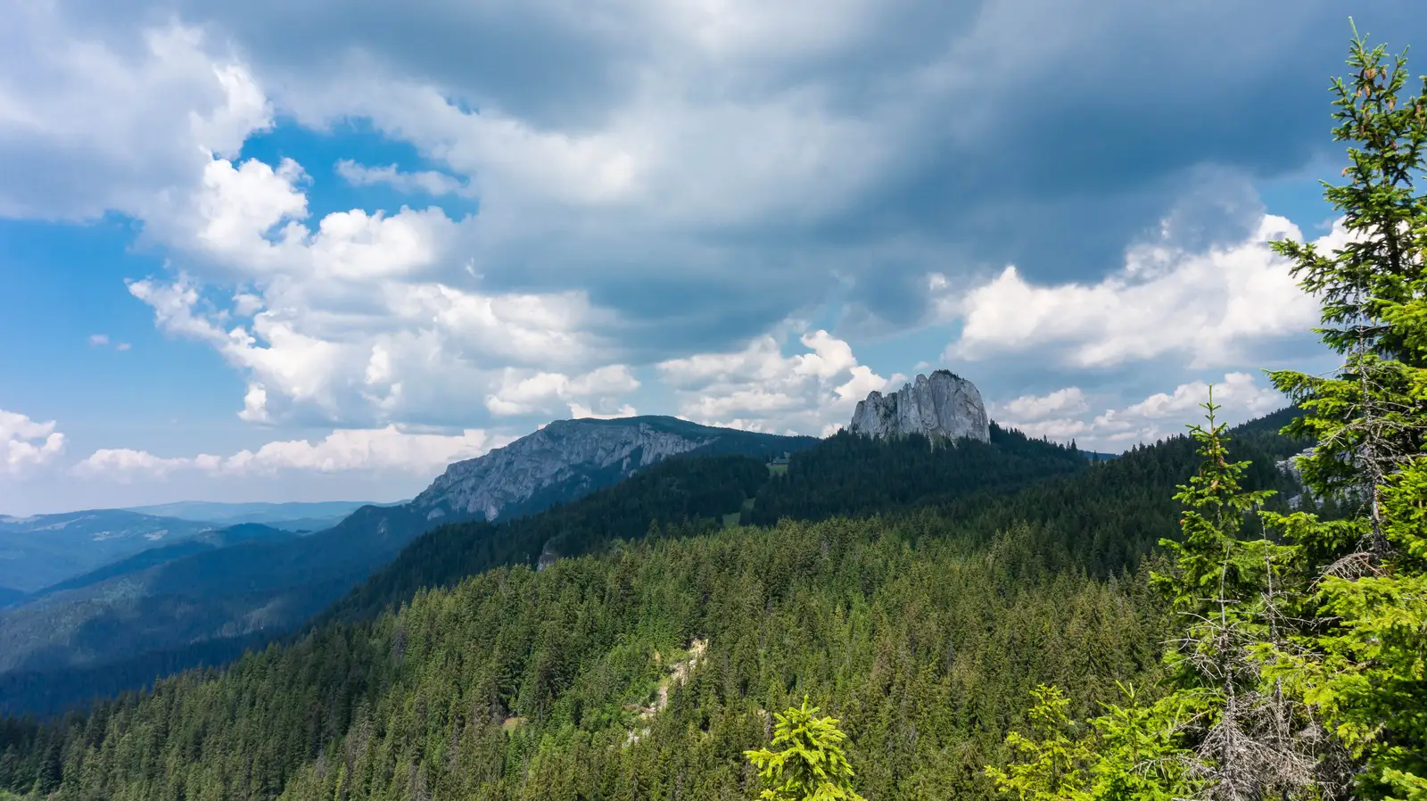 Cabana Piatra Singuratică - Piatra La Pândă