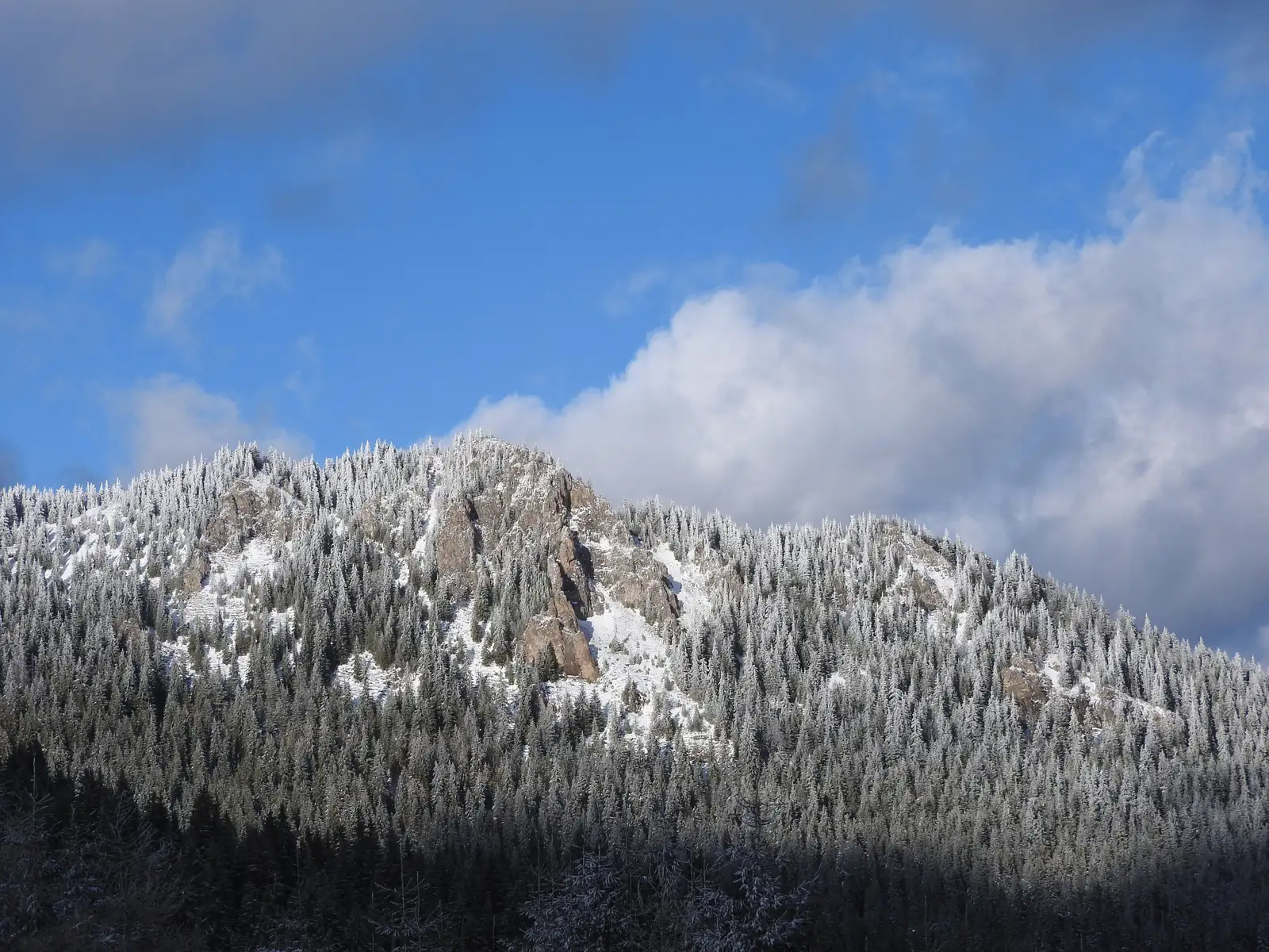 Şaua Niergheş - belvedere Vf. Danţuraşul Mic