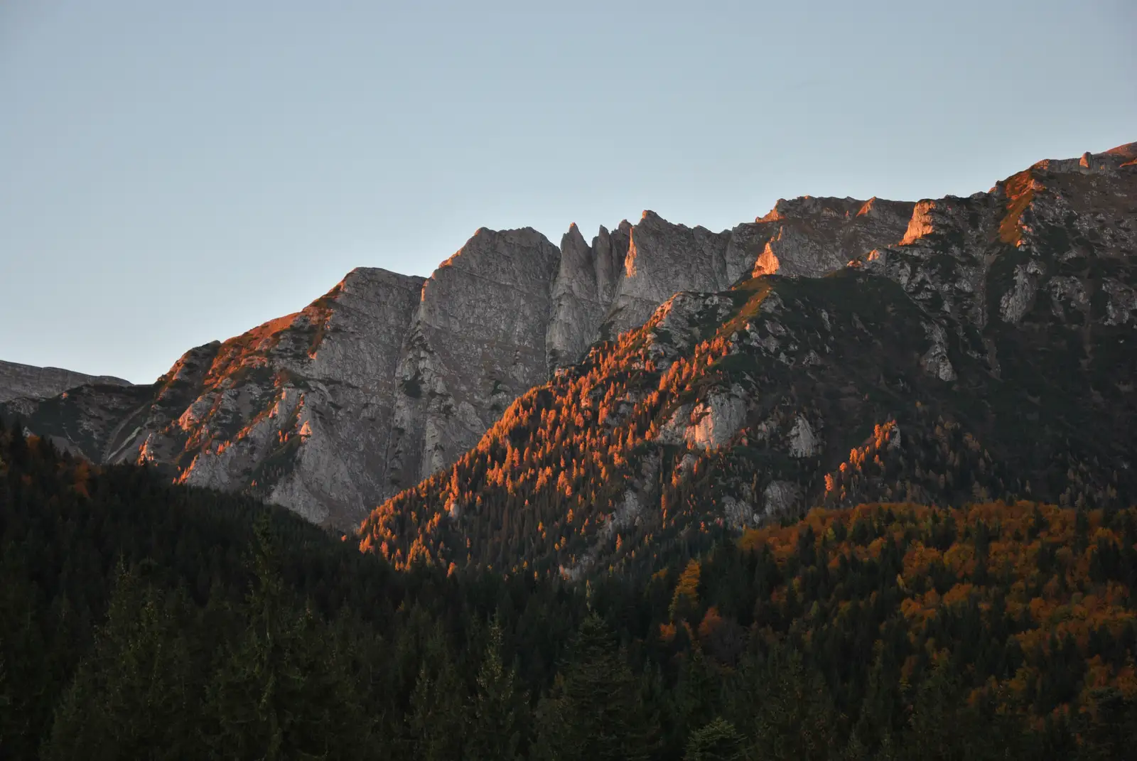 Buşteni - Poiana Pichetul Roşu - Cabana Mălăieşti