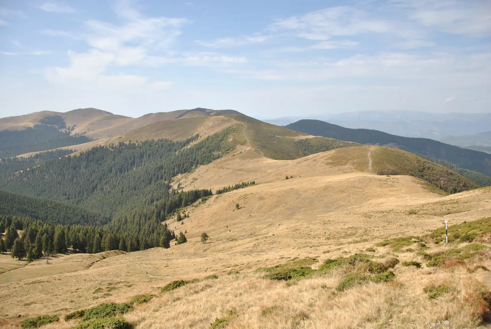 Fundata - Vârful Bucşa - Cabana Padina