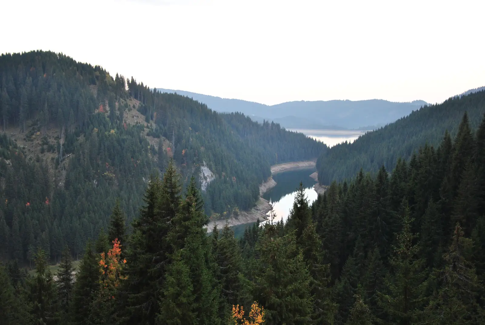 Cabana Bolboci - Plaiul Mircea - Muntele Deleanu