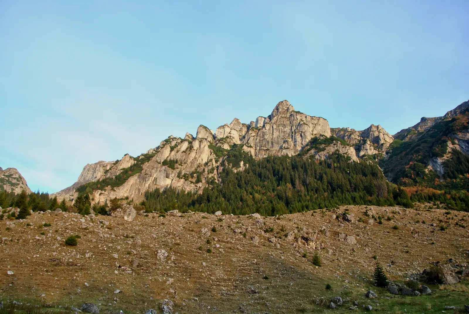 Poiana Gaura - Poiana Guţanu