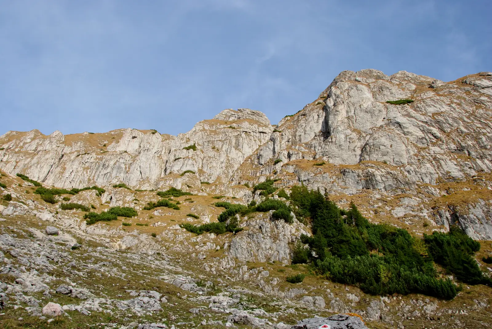 La Şipote - Poiana Pichetul Roşu