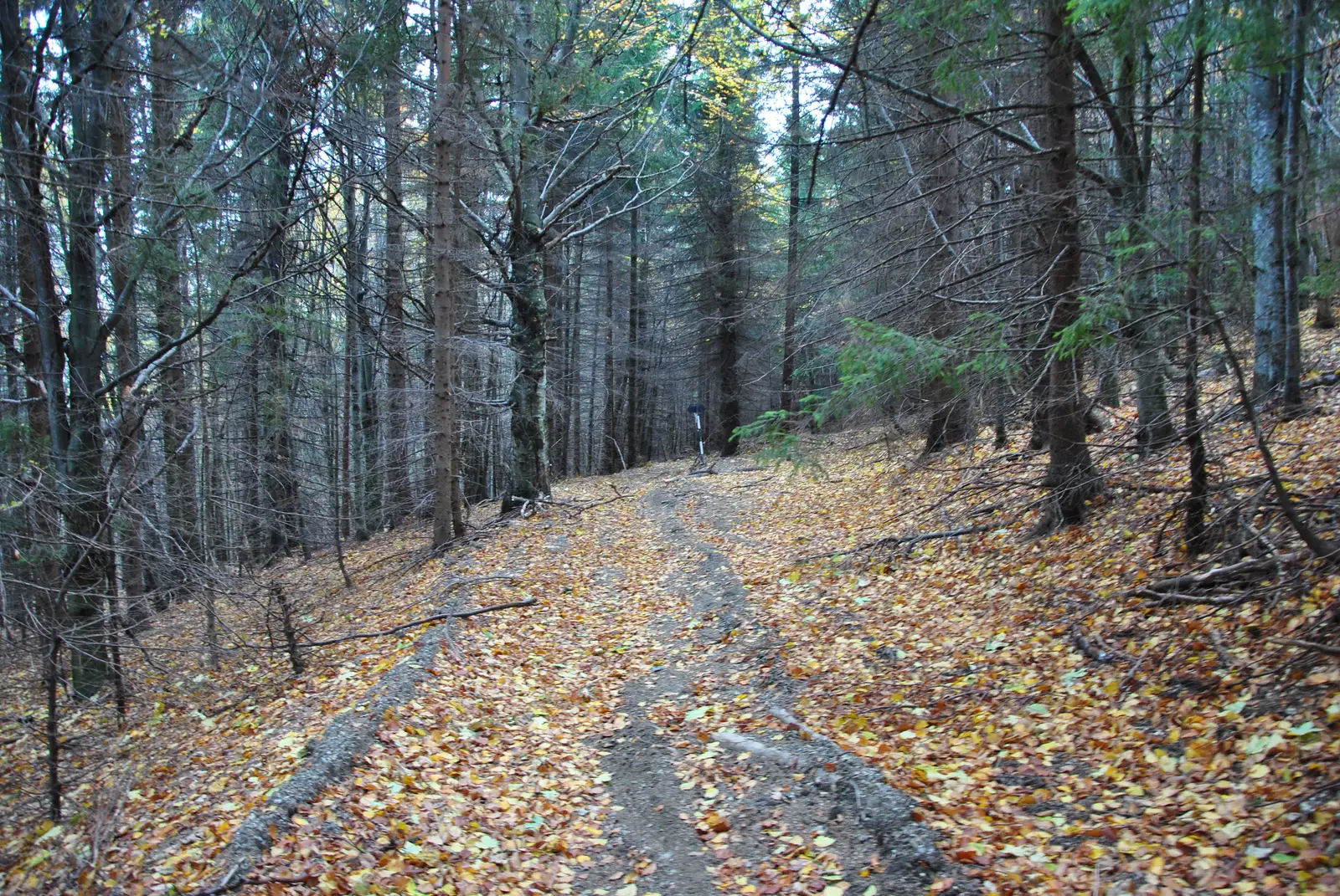 Muchia Cenuşie între traseul CA şi traseul CG