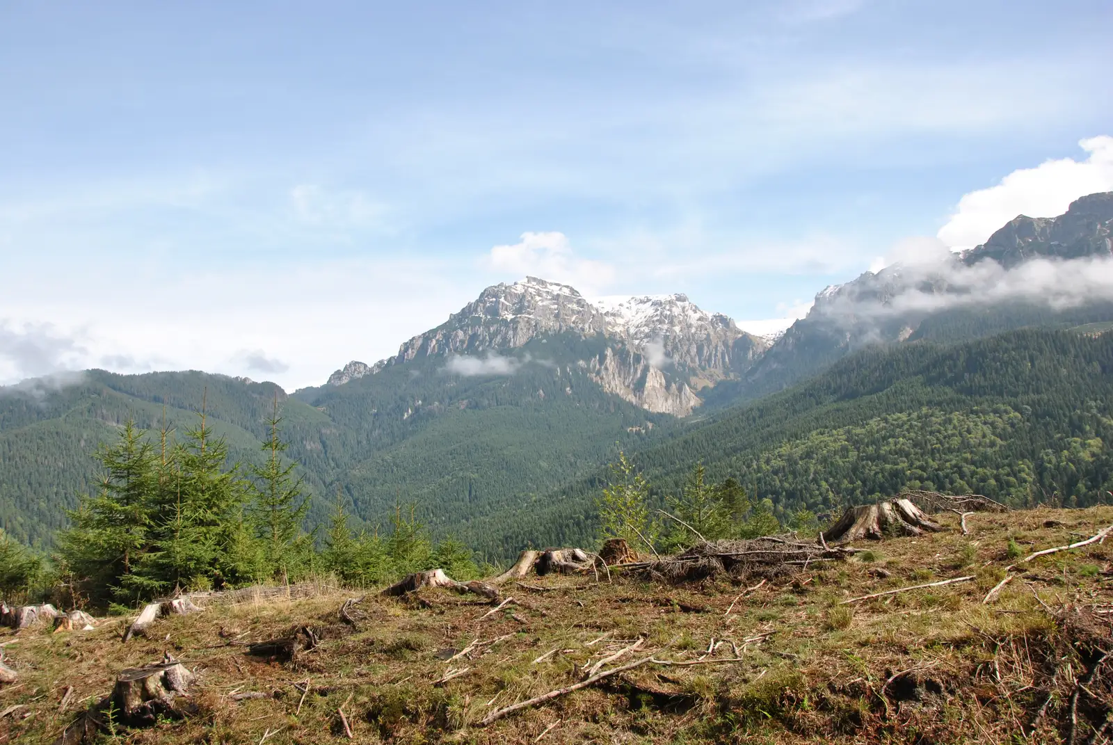 Şimon - Poiana Guţanu - Cabana Padina