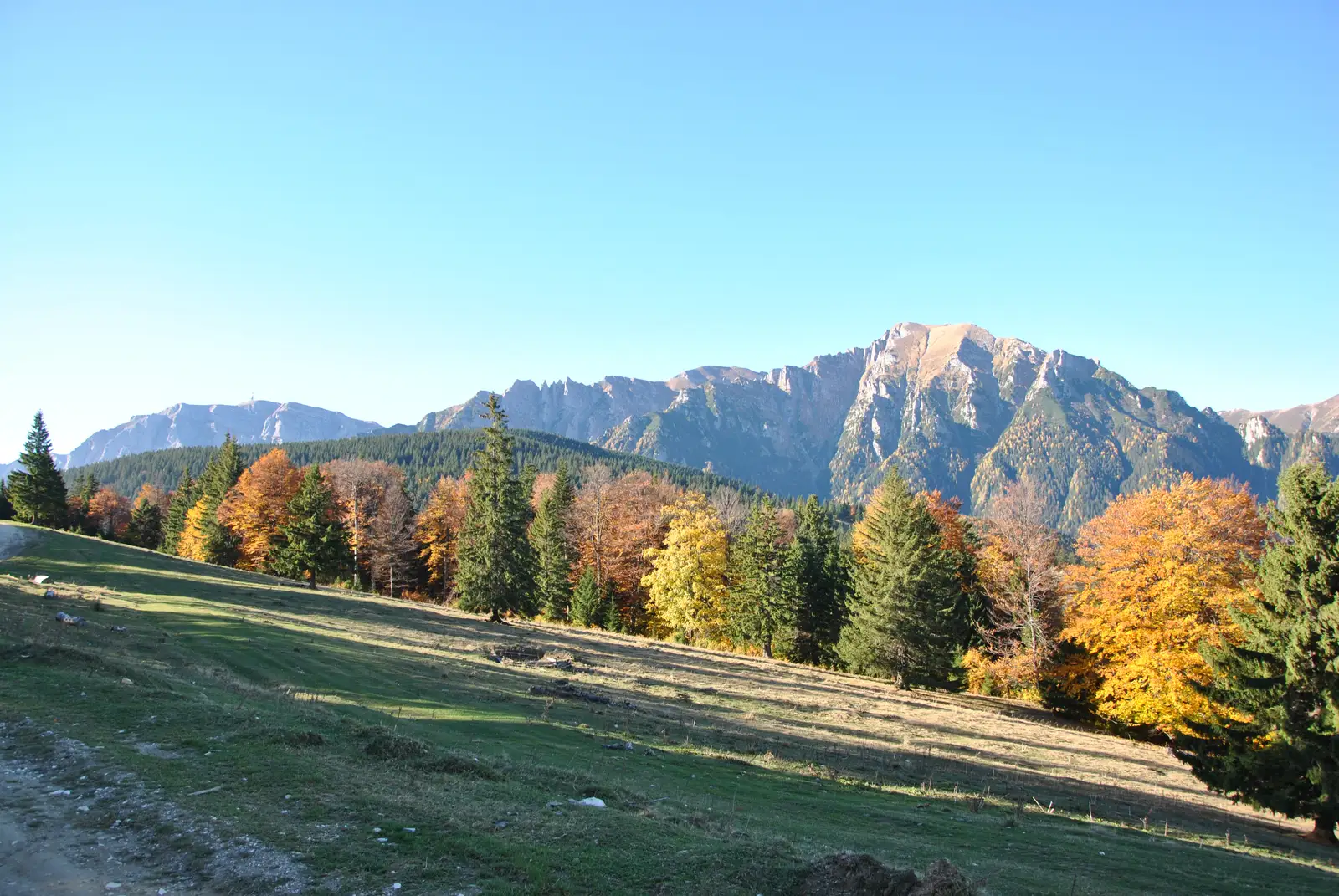 traseu punct roşu - Cabana Poiana Izvoarelor - Şaua Baiului