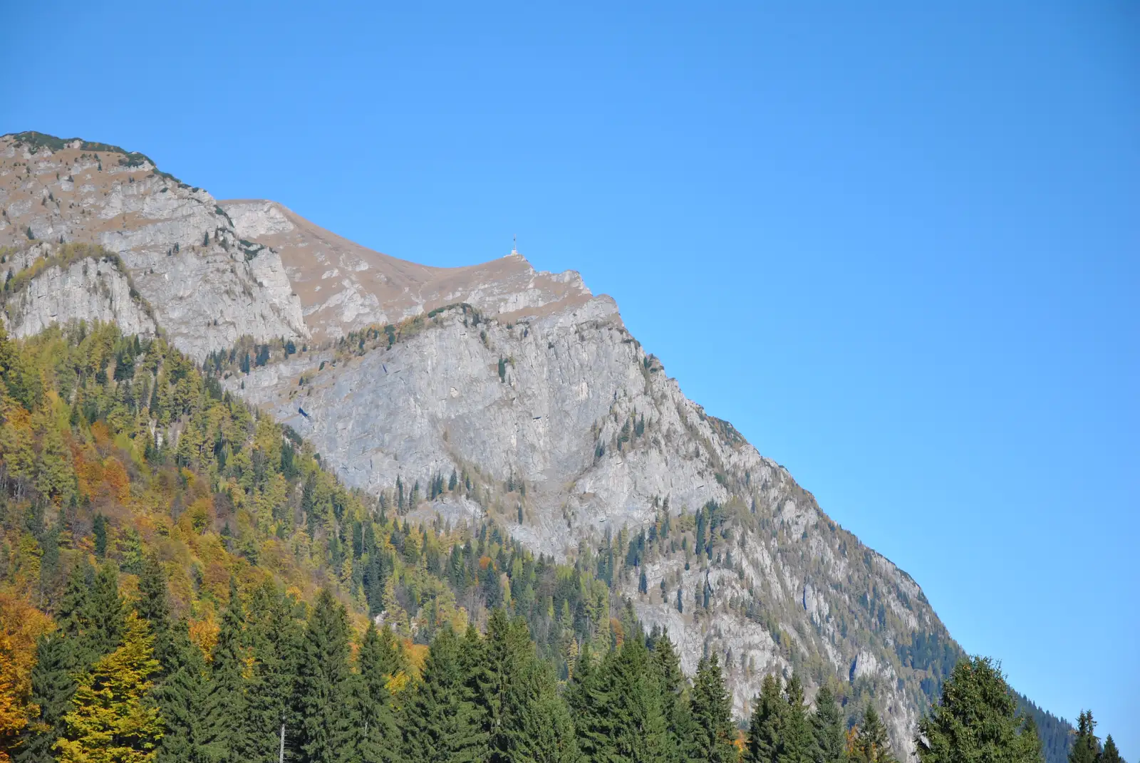 Buşteni - Şaua Baiului - Cabana Diham