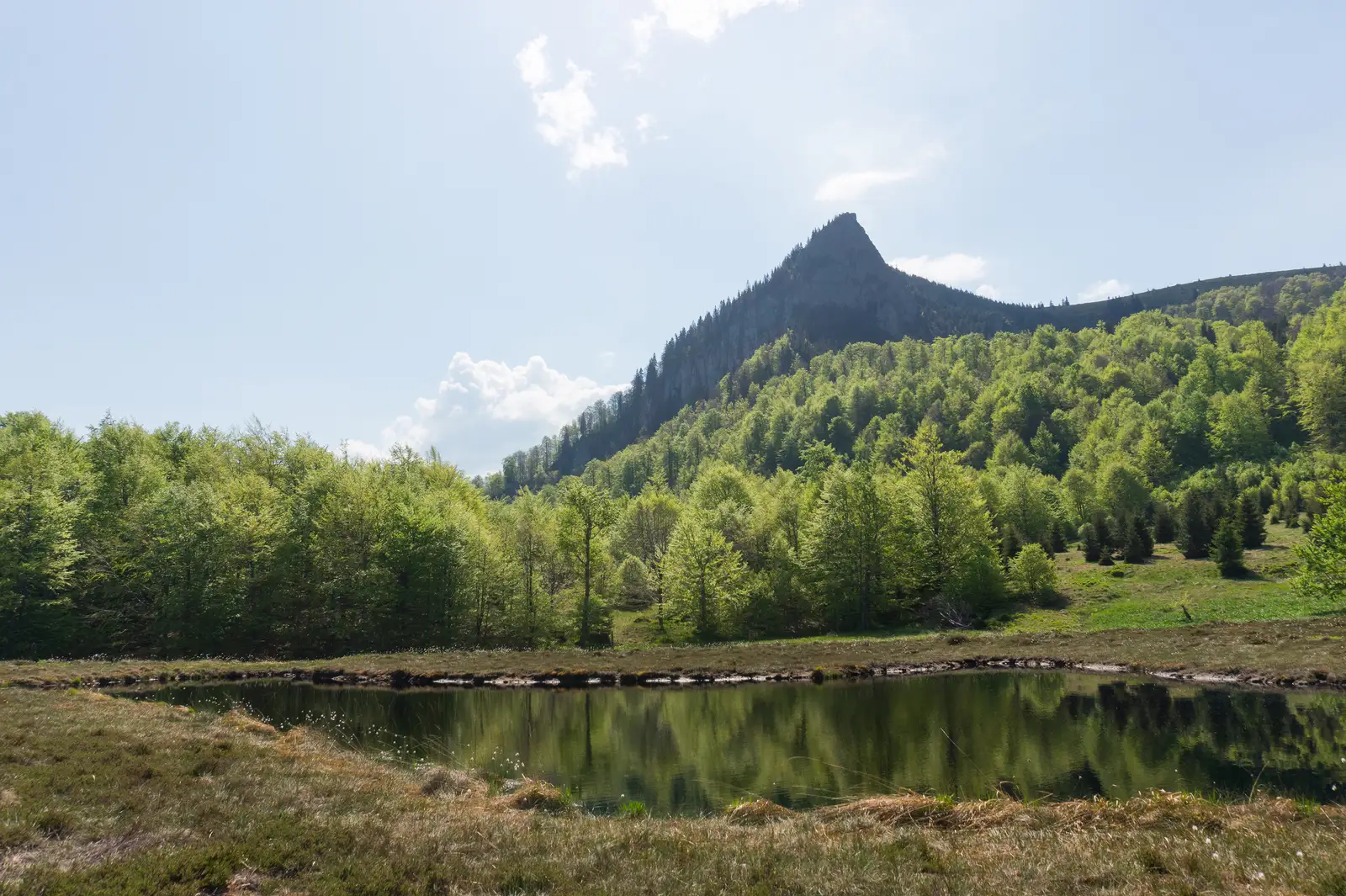 sat Hărniceşti – sat Breb – intersecţie traseul BR-CR