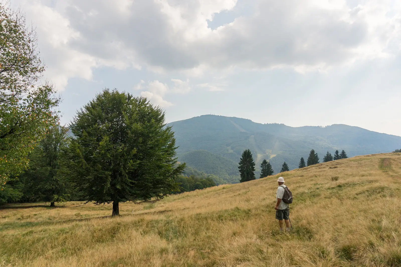 DN18 – Poiana Boului