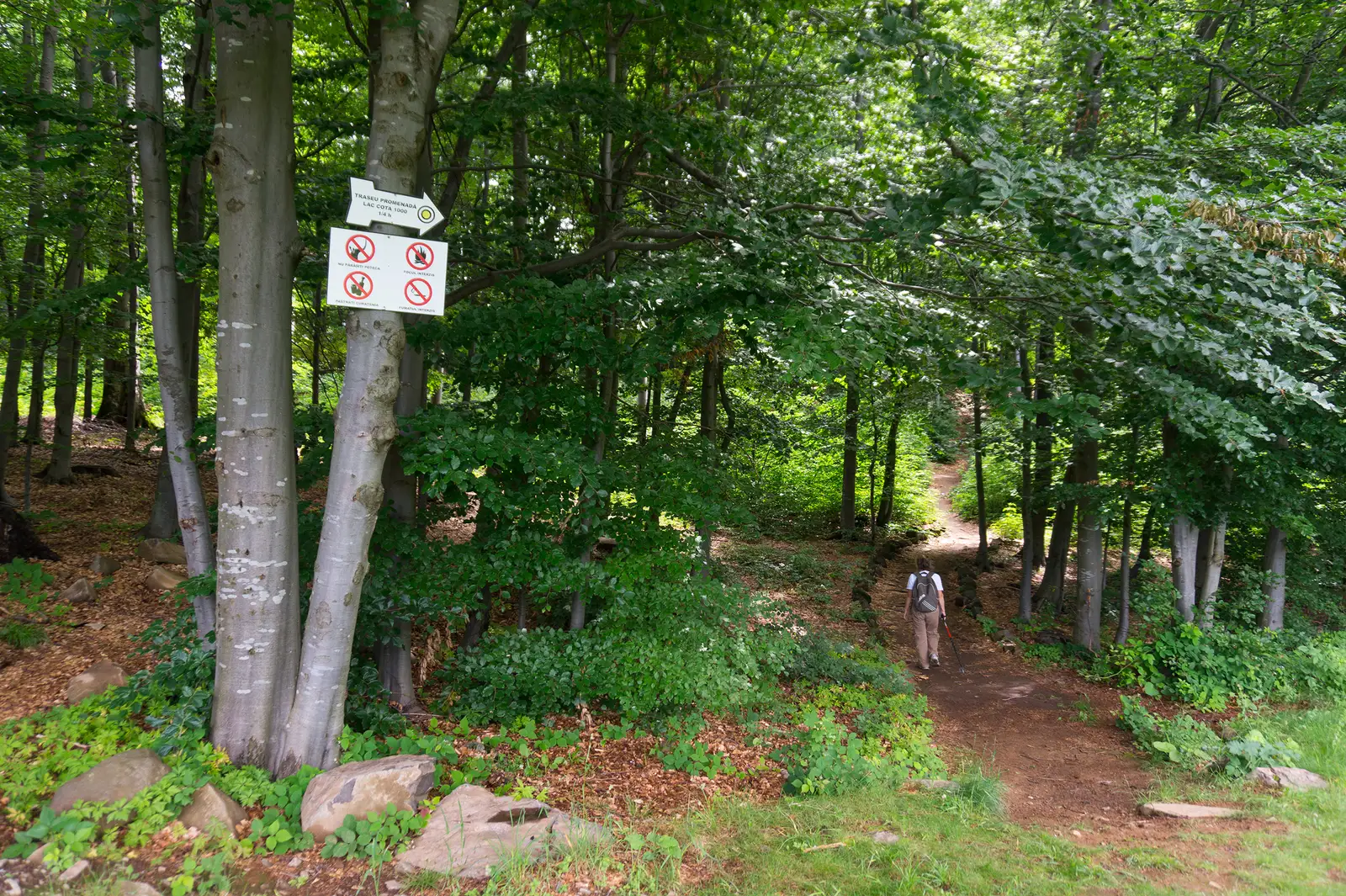 Traseu pomenadă Complex Hotelier Turist Şuior (Lac Cota 1000)