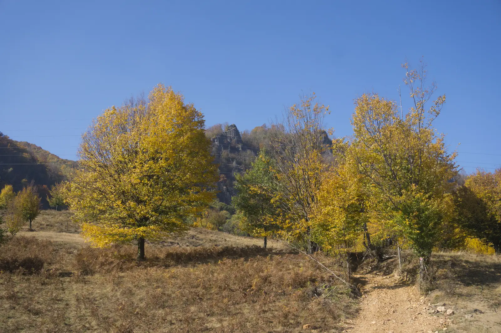 oraş Cavnic – Belvedere Pietrele Şoimului