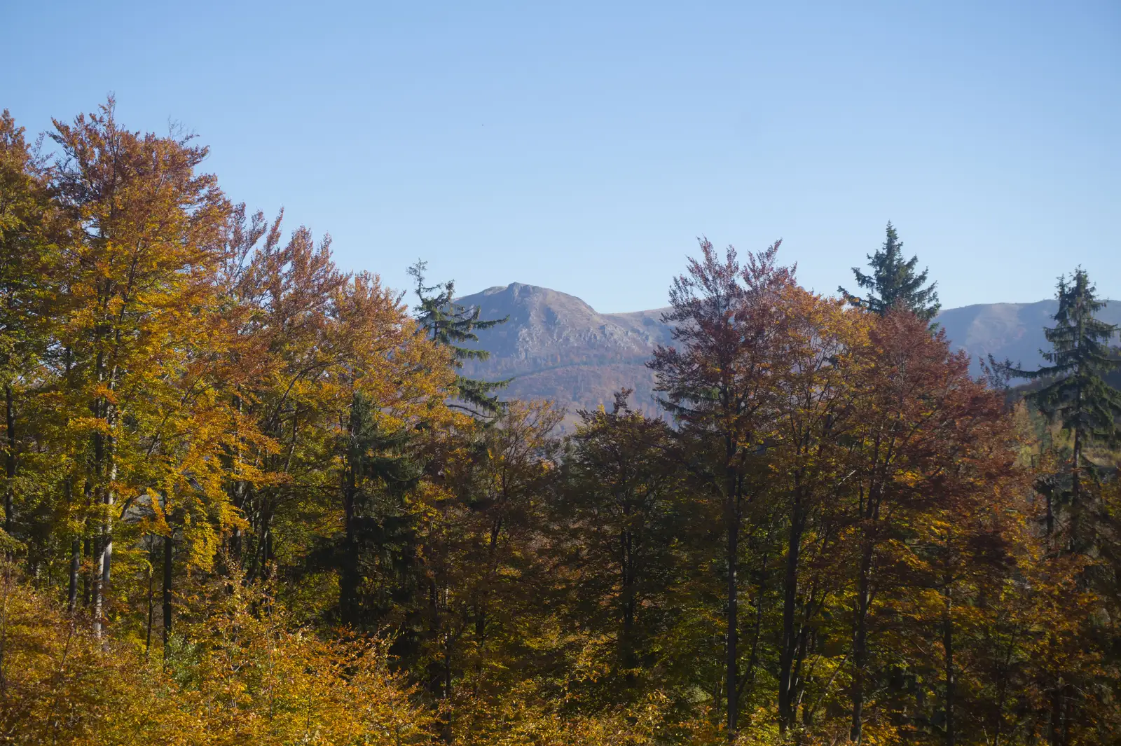 oraş Cavnic – Complex Hotelier Turist Şuior (Lac Cota 1000)