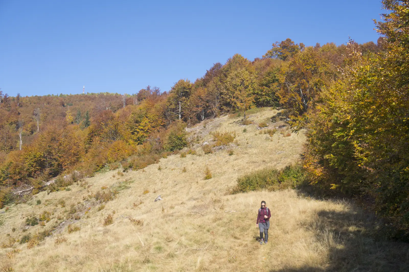 Tarniţa Arşiţei – Vârful Mogoşa