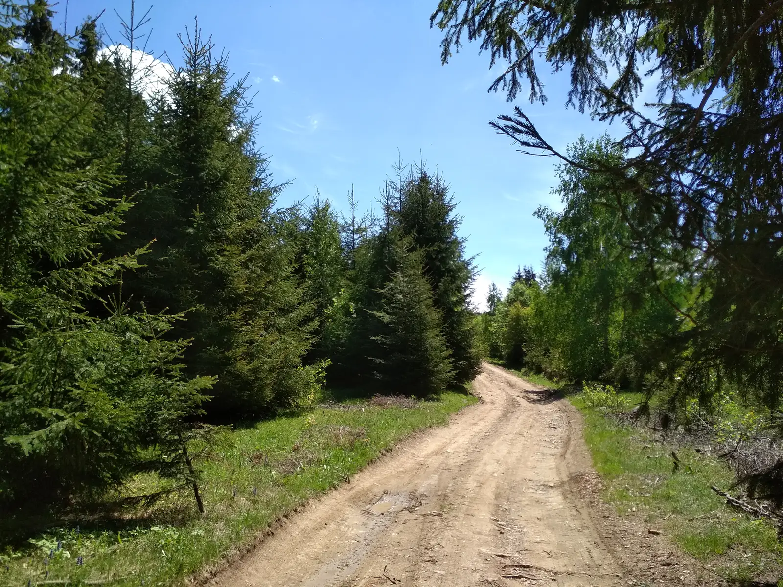 Creasta principală etapa 1: Pasul Liban - Staţiunea Harghita Mădăraş - Staţiunea Harghita-Băi