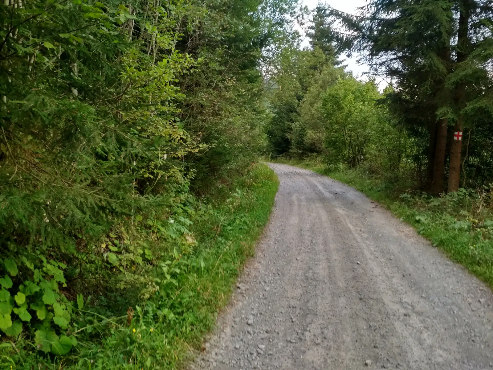 Cariera Suseni - intersecţie traseul BA (creasta principală)