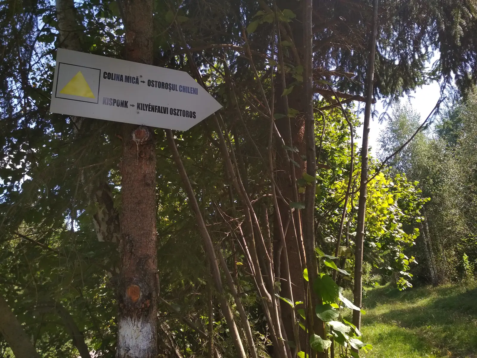 Cariera Suseni - intersecţie traseul CG