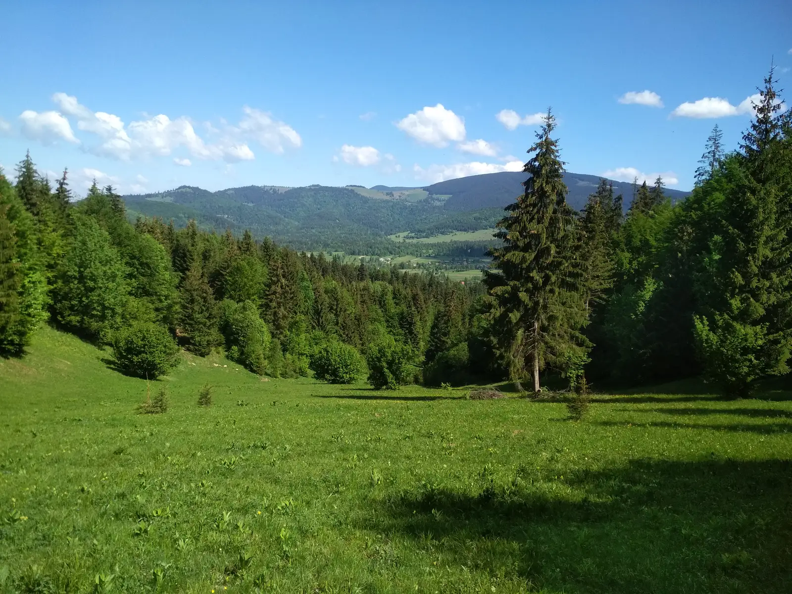 sat Izvoru Mureşului - Vf. Fagul Roşu - Lacul Dracului