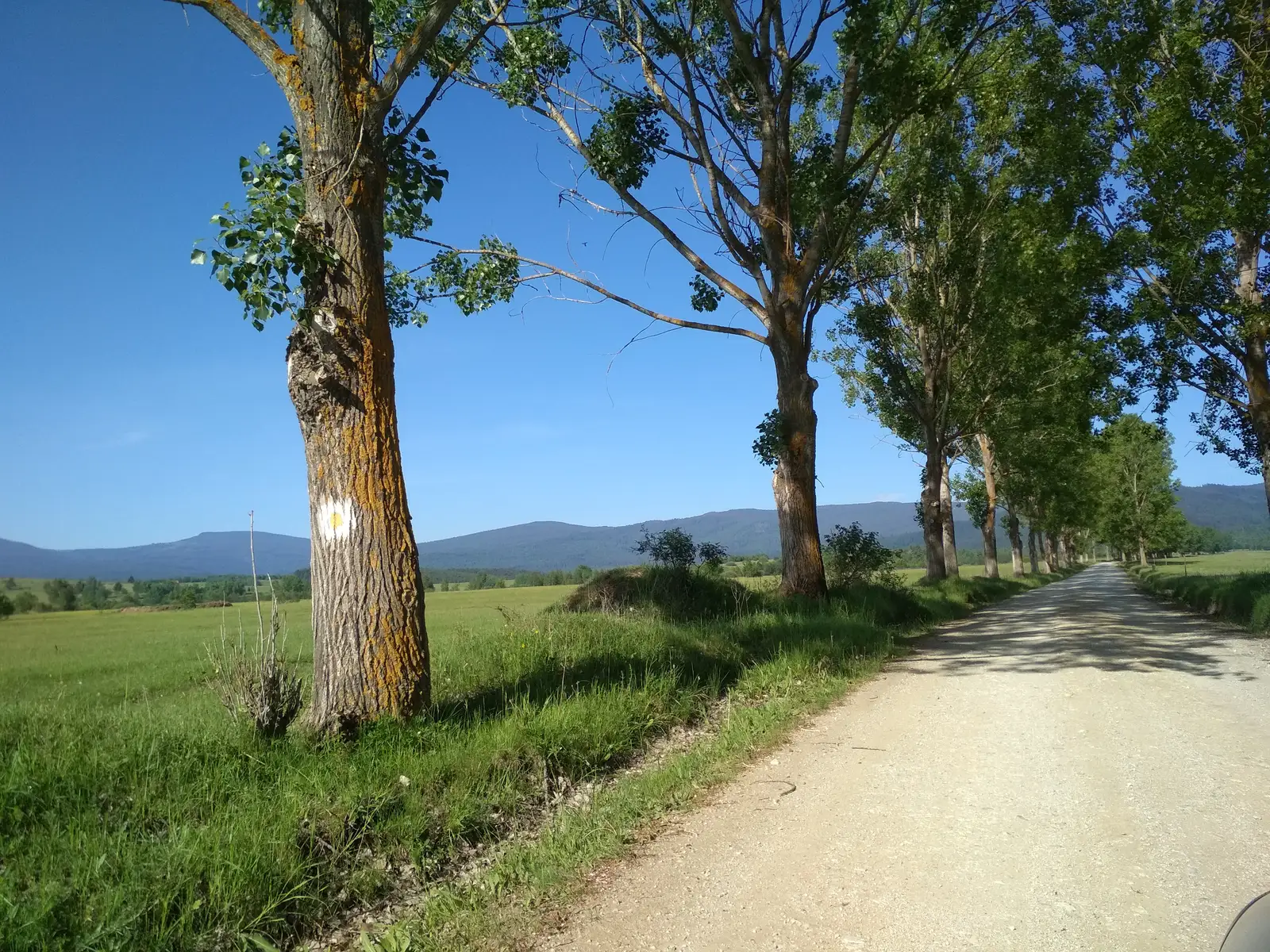 sat Dăneşti - Poiana Mădicea - Refugiul Montan Lacul Dracului