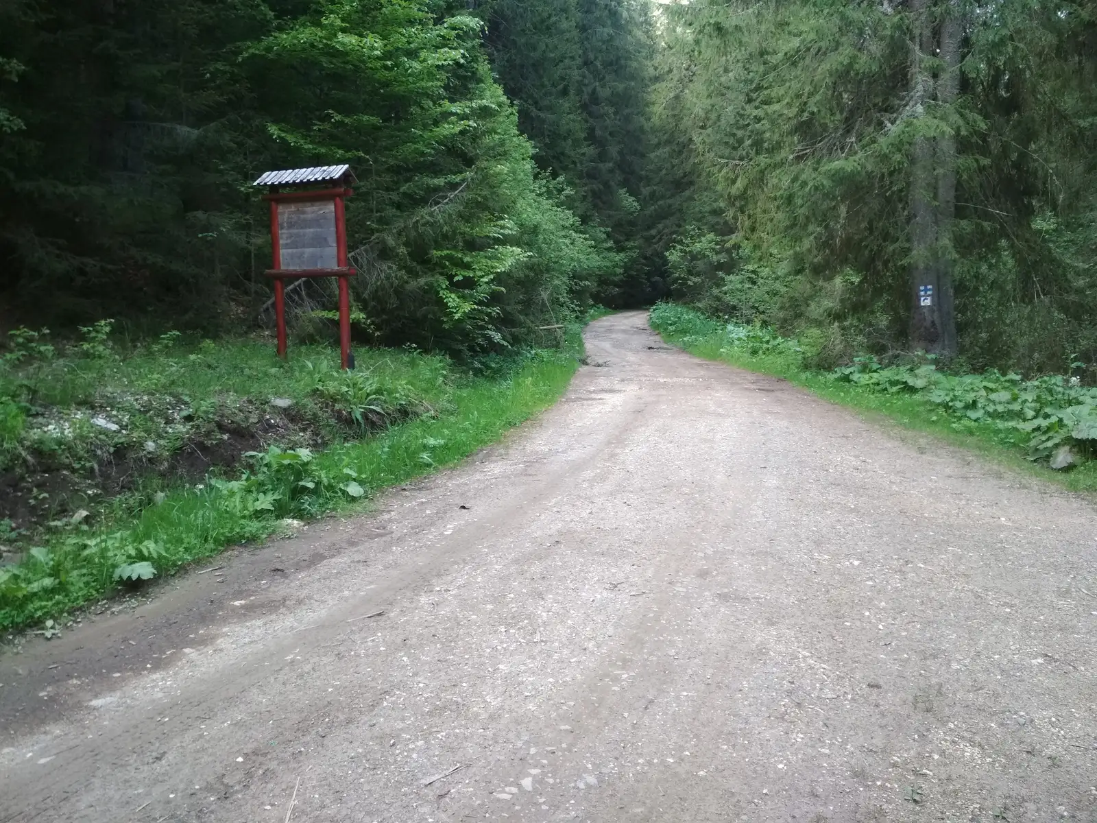 sat Mădăraş - Valea Mădăraşul Mare - Pasul Fertău