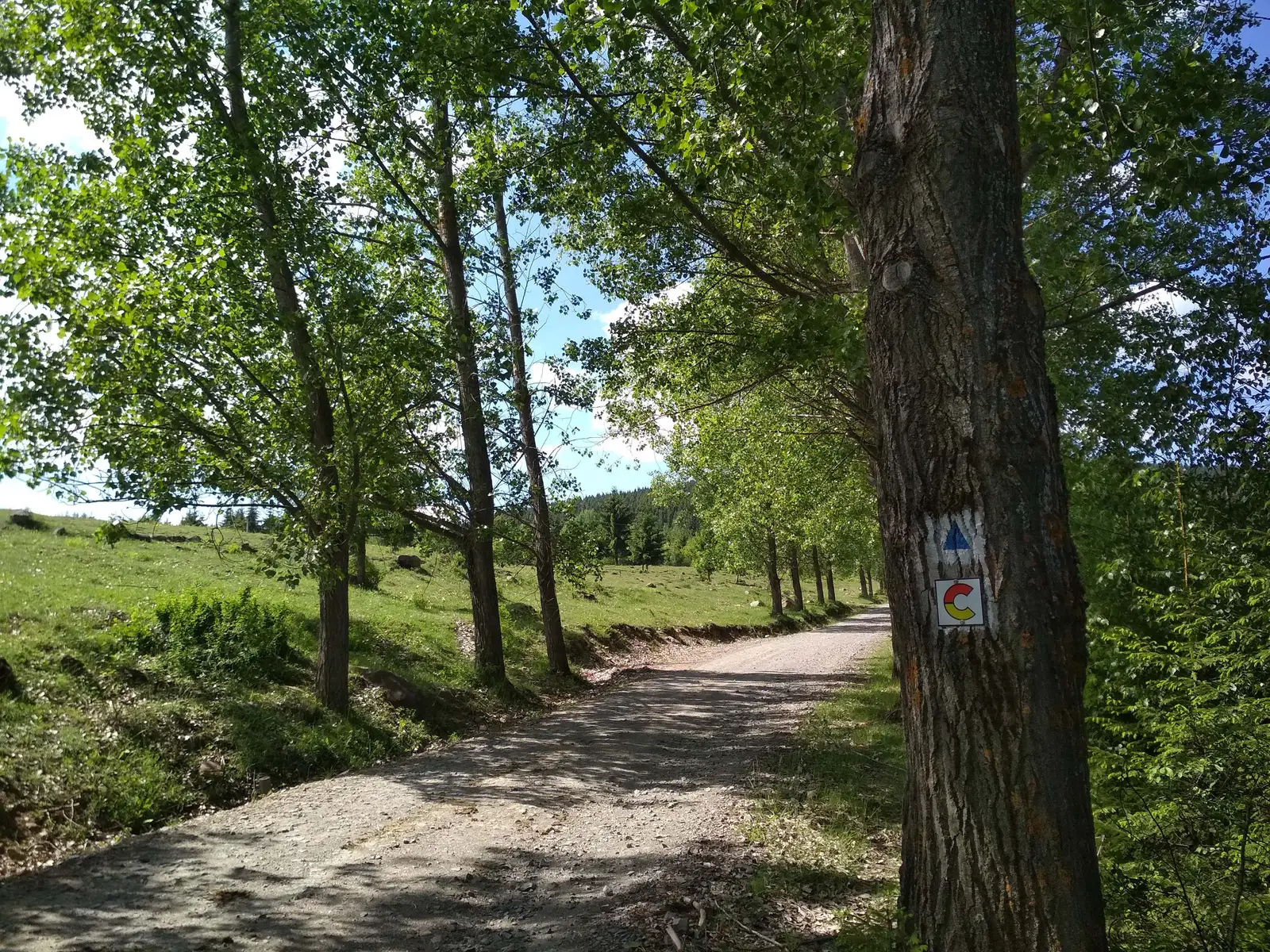 Valea Mădăraşul Mic - Valea Săritor - intersecţie traseul BA (creasta principală)