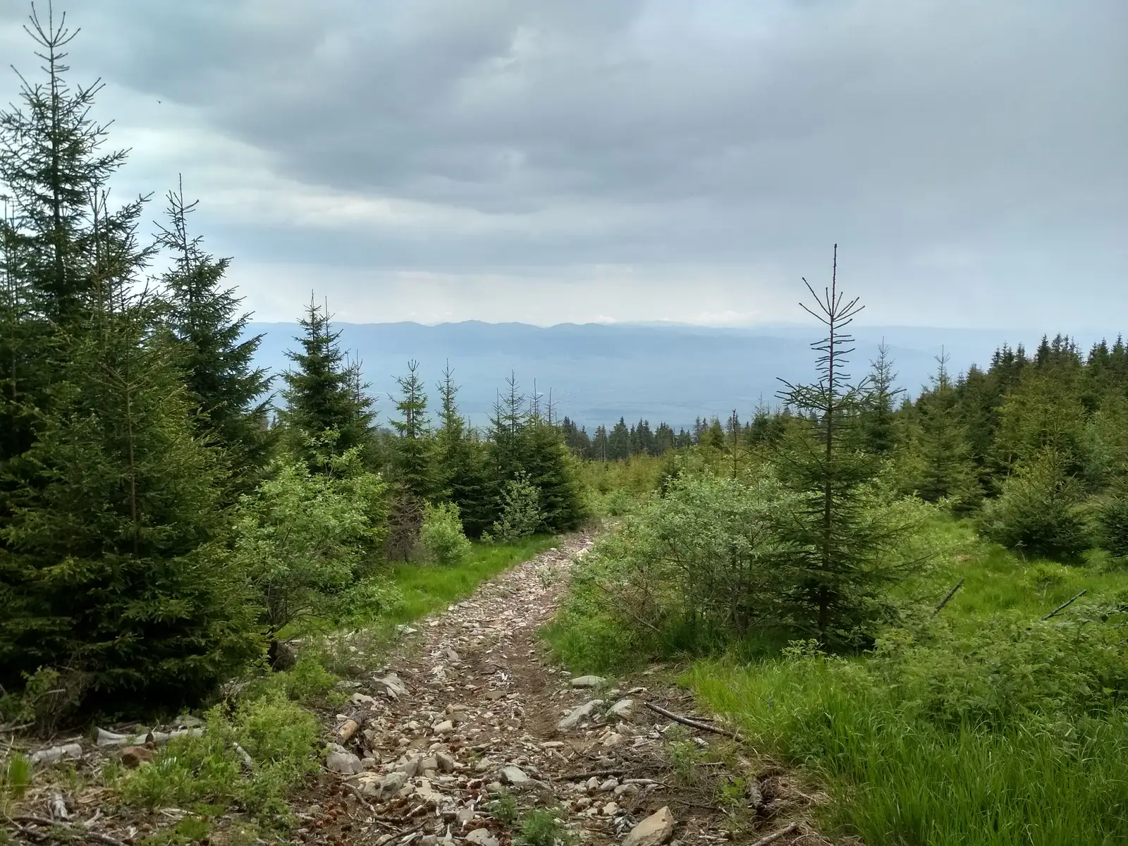 sat Racu - Ruinele Cetăţii Pogányvár - intersecţie traseul BA (creasta principală)