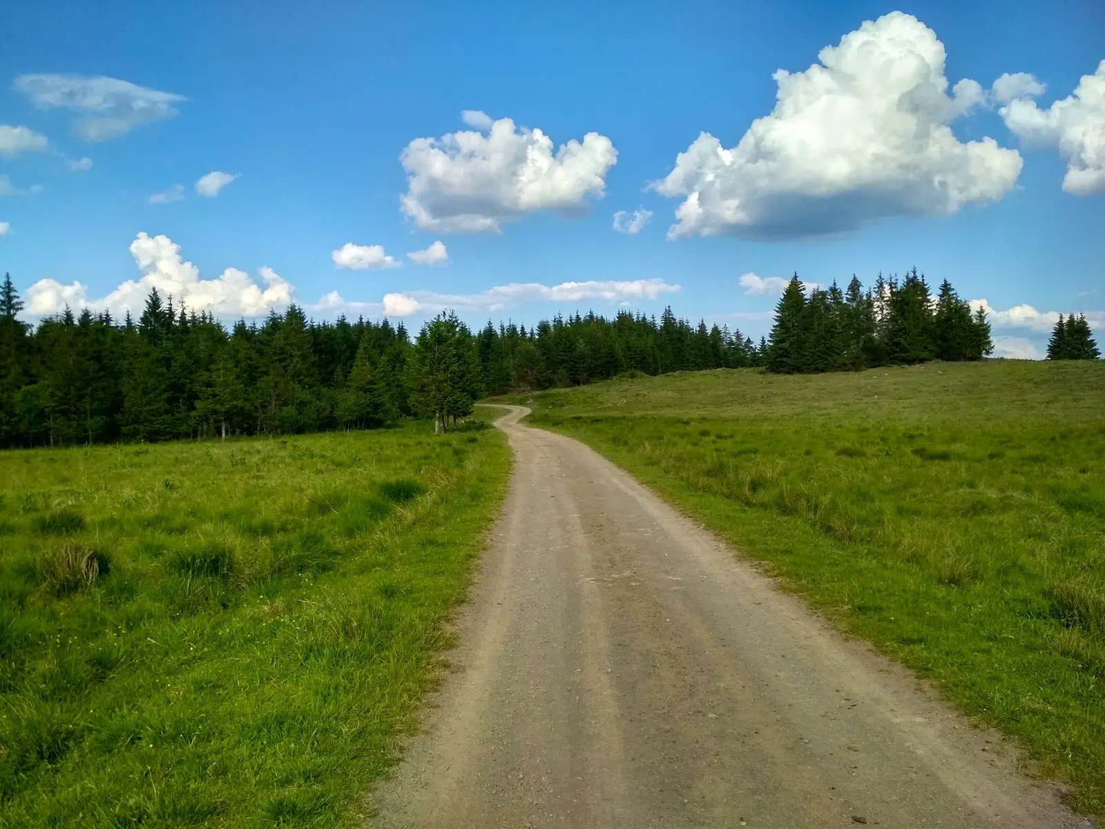 sat Ciceu - sub Vf. Ciceu - Staţiunea Harghita-Băi